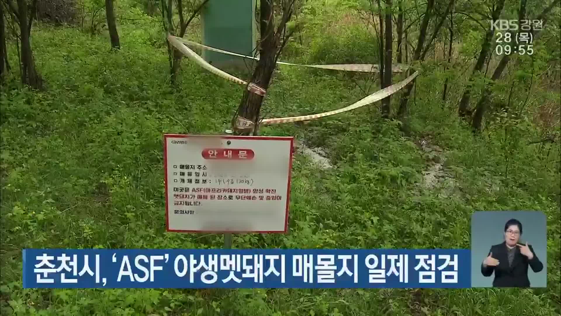 춘천시, ‘ASF’ 야생멧돼지 매몰지 일제 점검