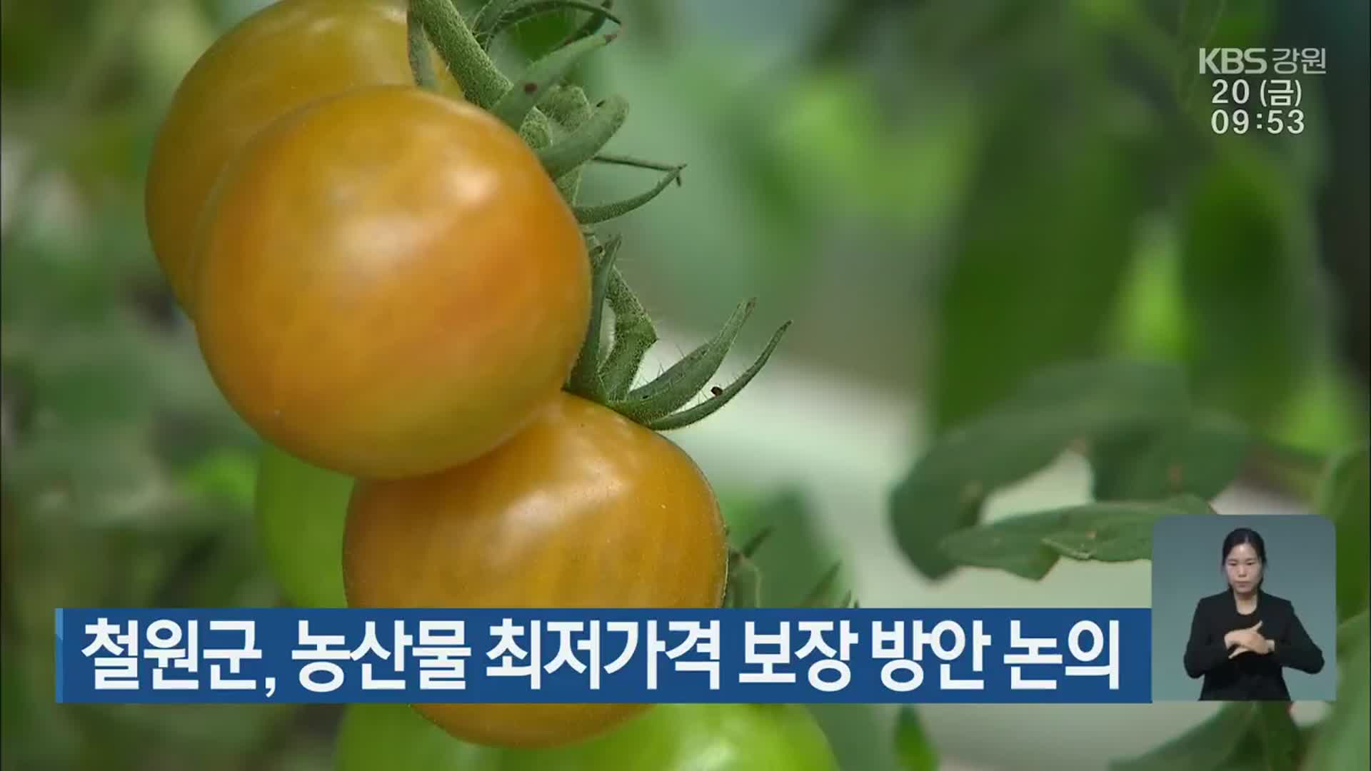 철원군, 농산물 최저가격 보장 방안 논의