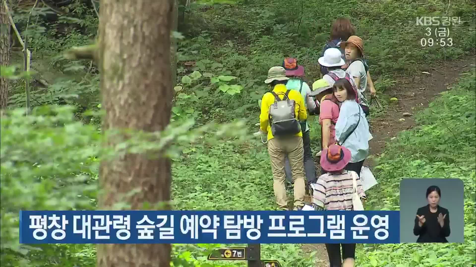 평창 대관령 숲길 예약 탐방 프로그램 운영