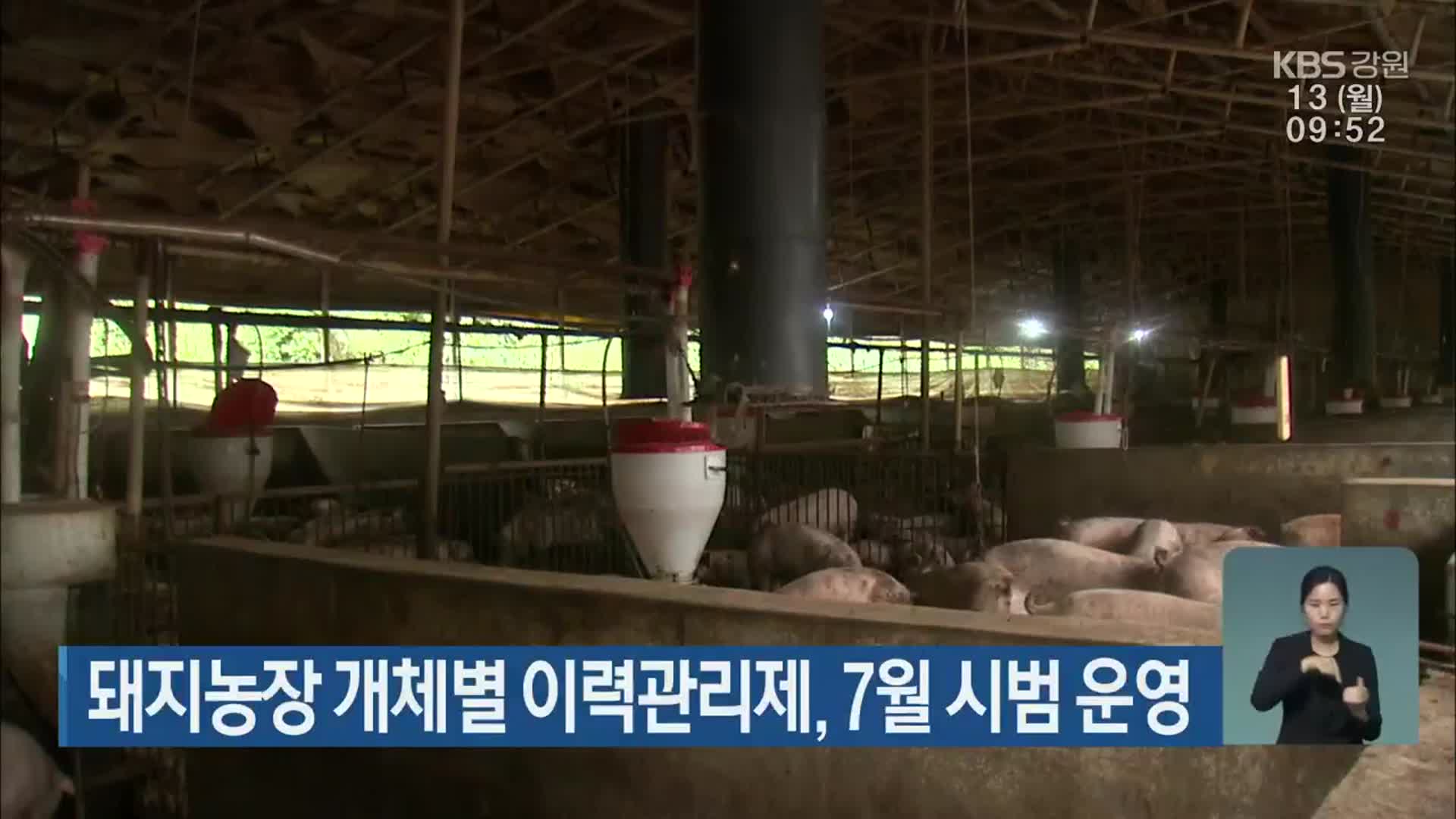 돼지농장 개체별 이력관리제, 7월 시범 운영