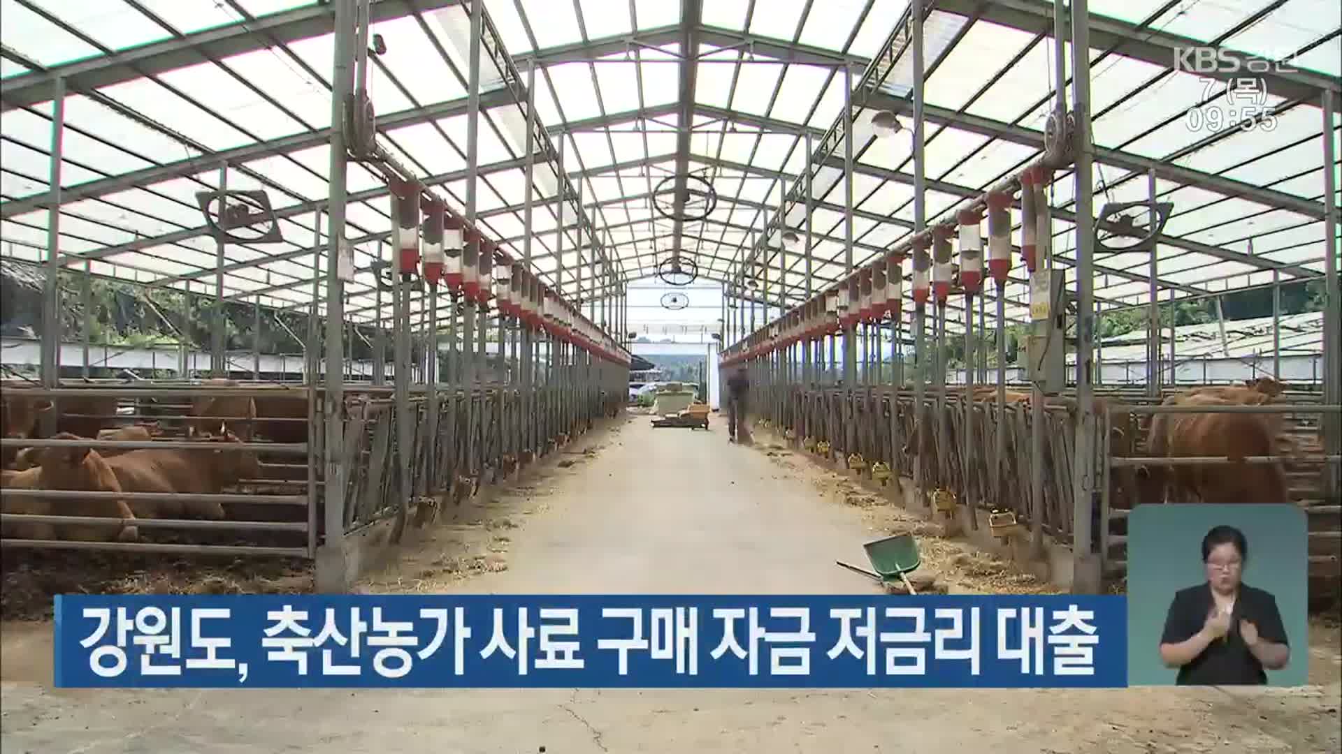 강원도, 축산농가 사료 구매 자금 저금리 대출
