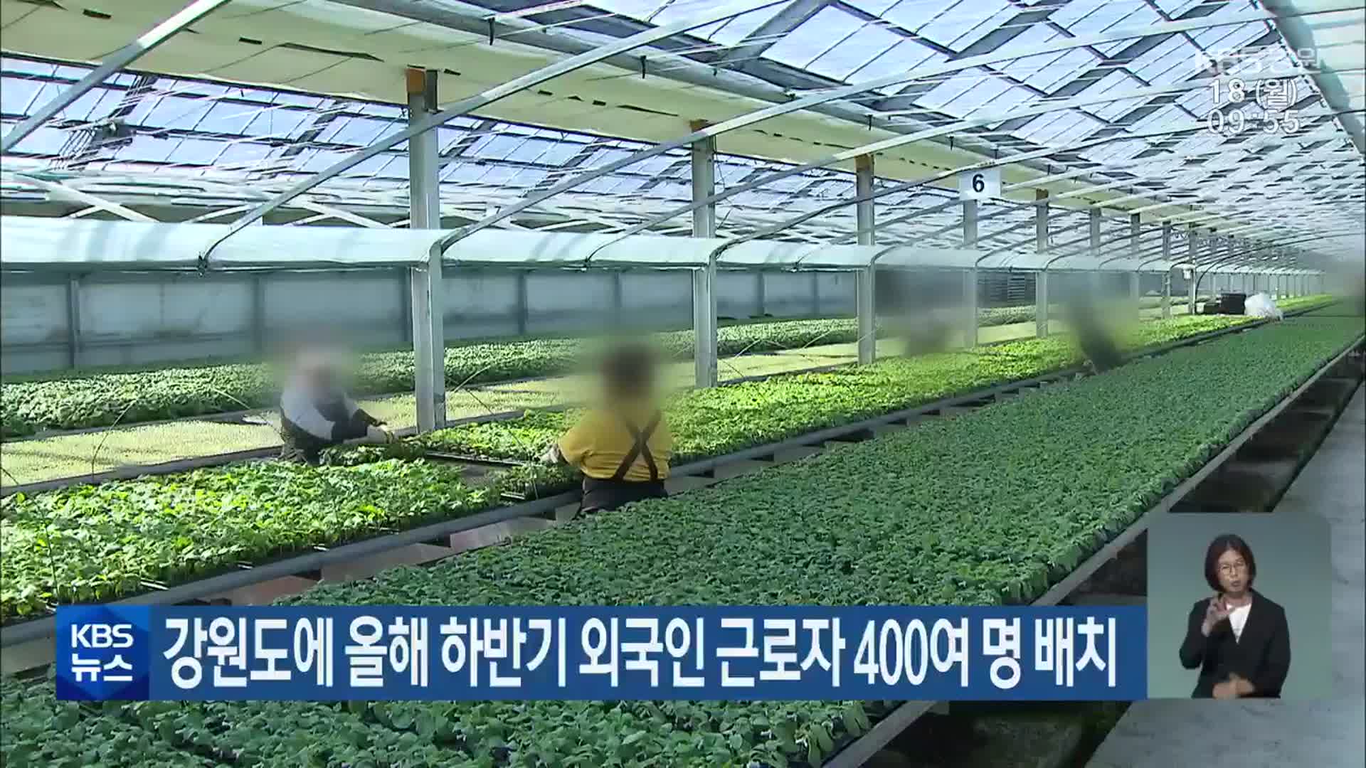 강원도에 올해 하반기 외국인 근로자 400여 명 배치