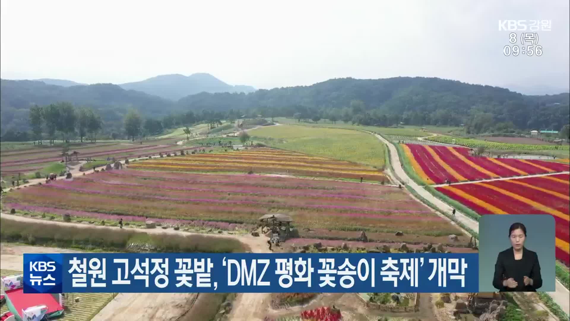 철원 고석정 꽃밭, ‘DMZ 평화 꽃송이 축제’ 개막