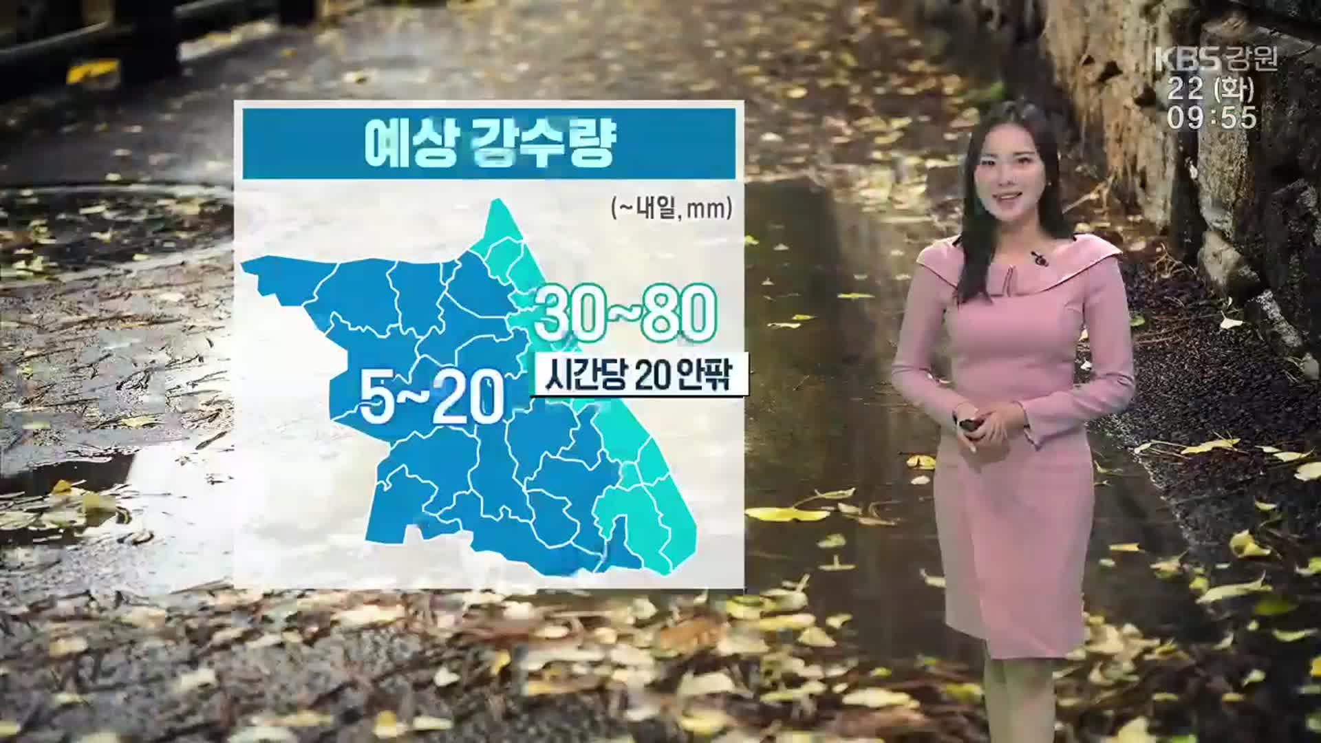 [날씨] 강원 영서 ‘5~20mm’·영동 ‘30~80mm’ 비…“우산 꼭!”