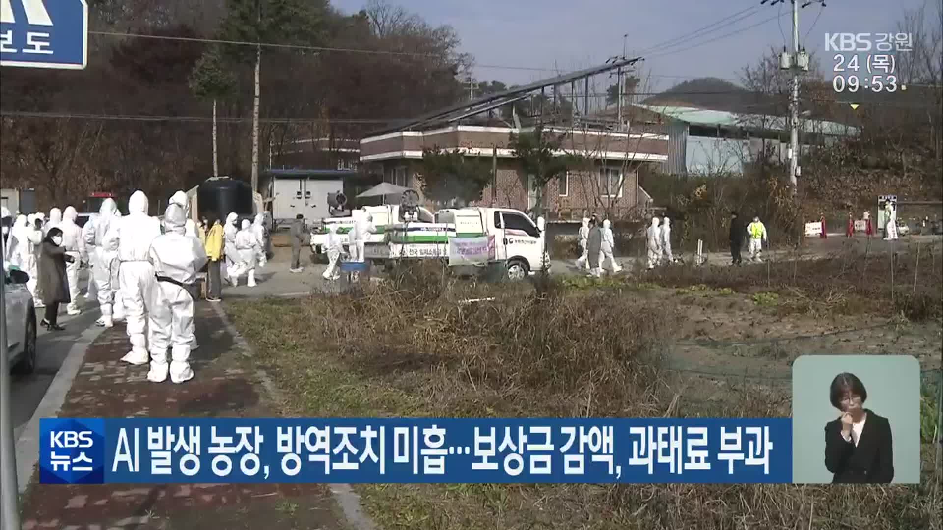 원주 AI 발생 농장, 방역조치 미흡…보상금 감액·과태료 부과