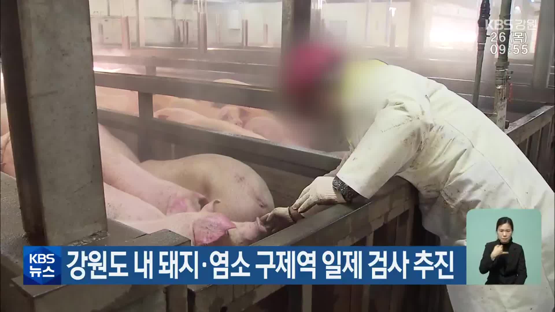 강원도 내 돼지·염소 구제역 일제 검사 추진