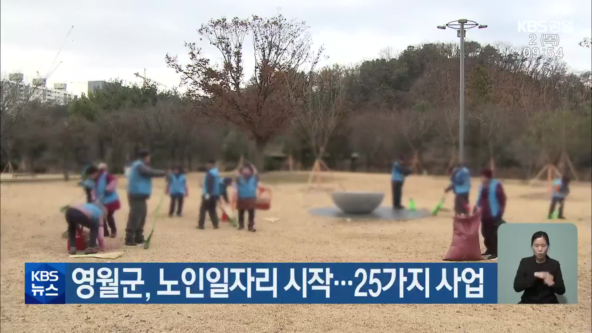 영월군, 노인일자리 시작…25가지 사업