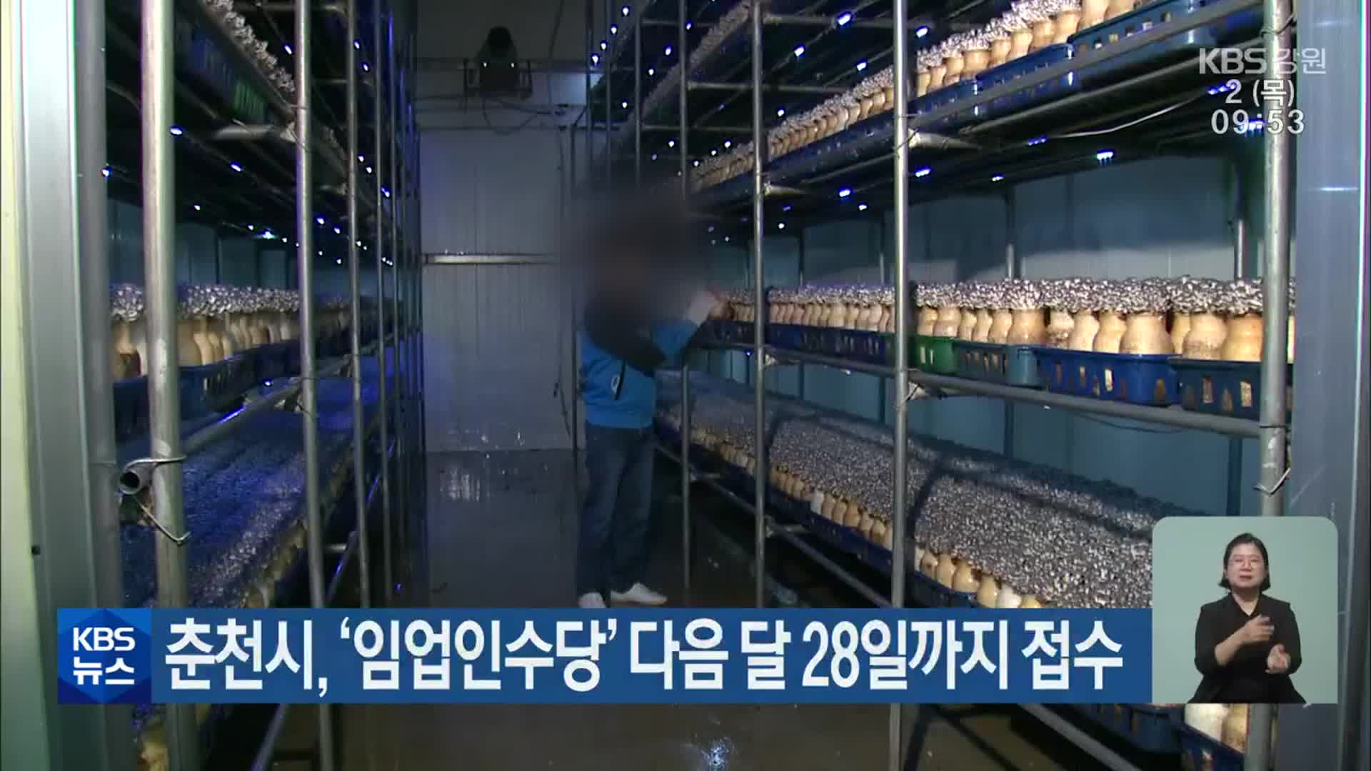 춘천시, ‘임업인수당’ 다음 달 28일까지 접수