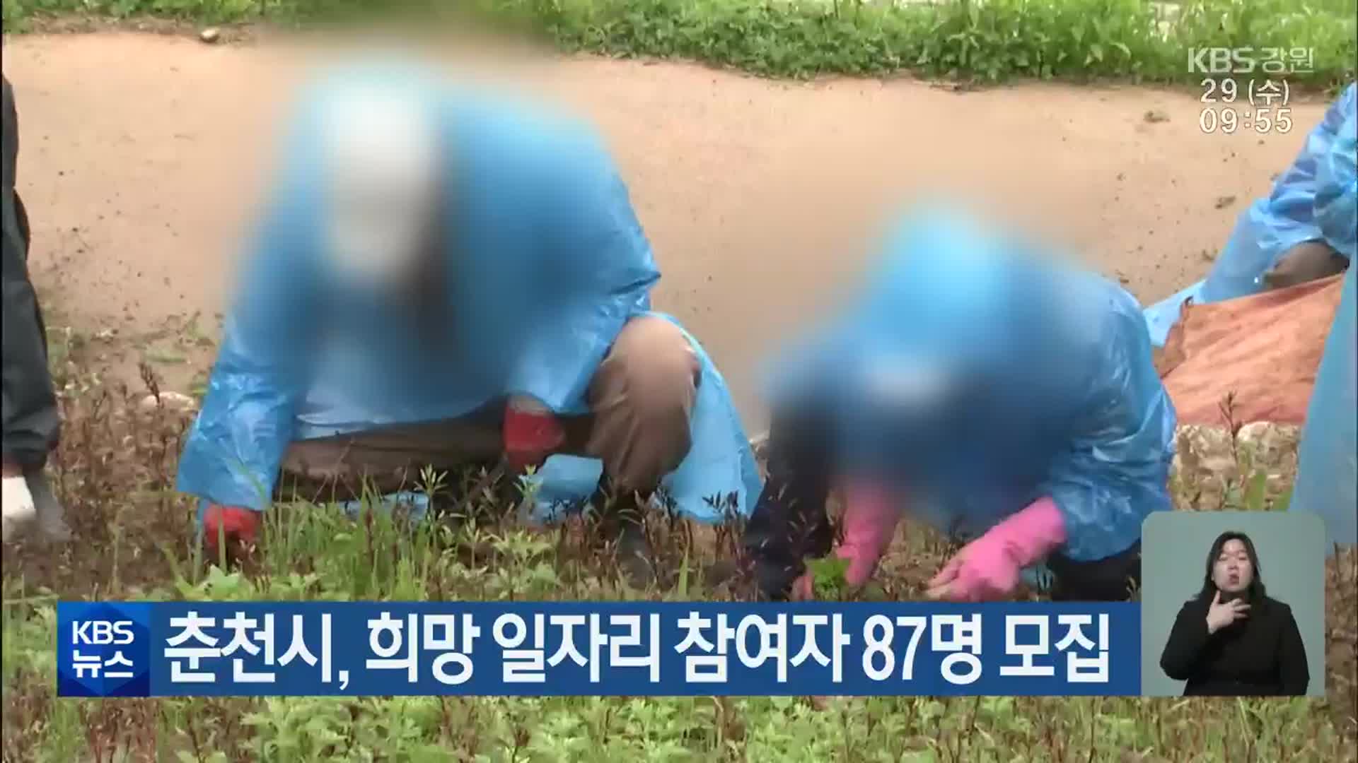 춘천시, 희망 일자리 참여자 87명 모집