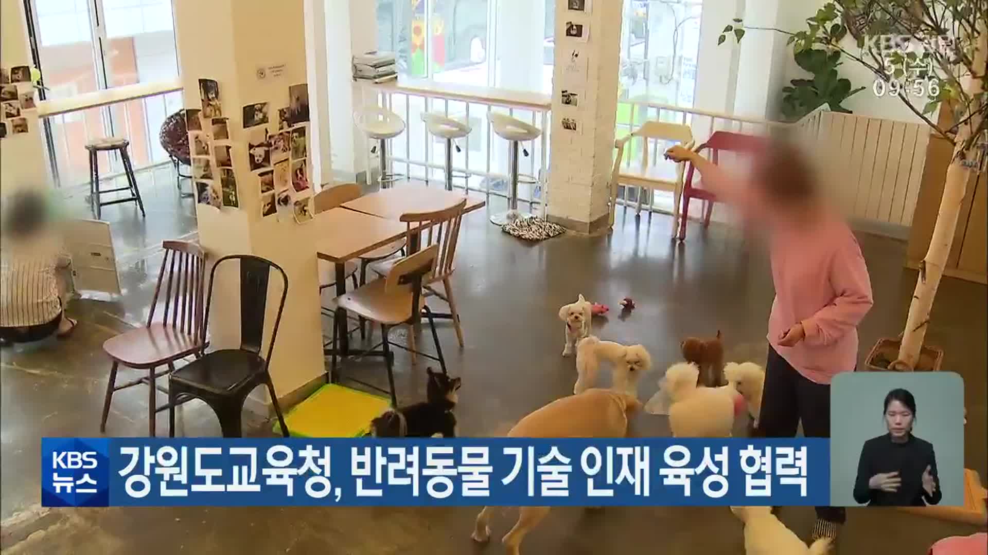 강원도교육청, 반려동물 기술 인재 육성 협력