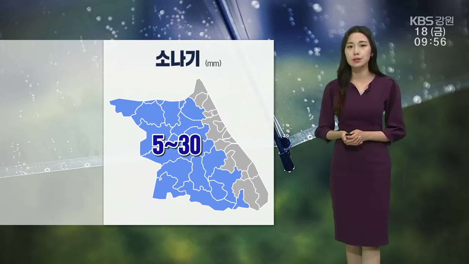 [날씨] 강원 내륙·산지 최대 30mm 소나기…폭염특보