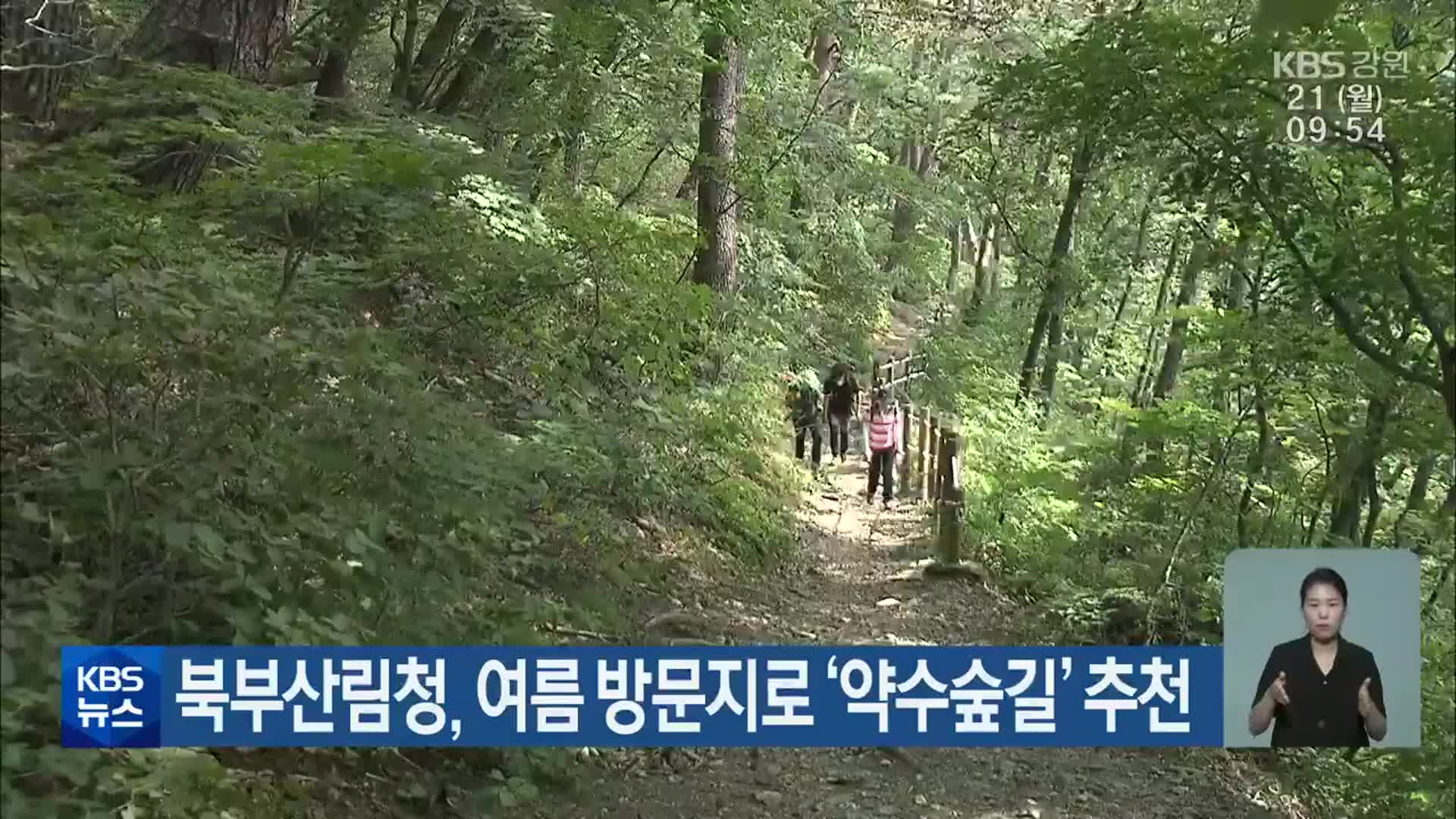 북부산림청, 여름 방문지로 ‘약수숲길’ 추천