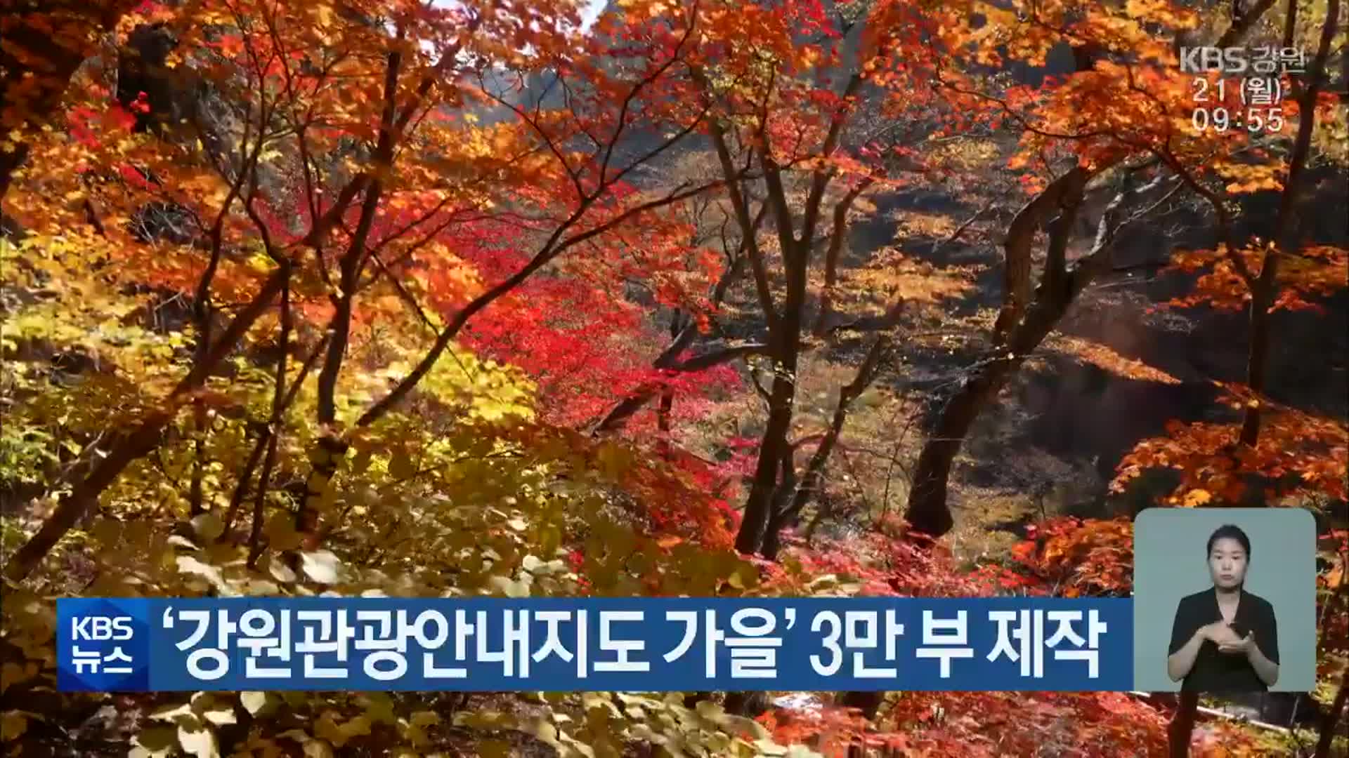 ‘강원관광안내지도 가을’ 3만 부 제작