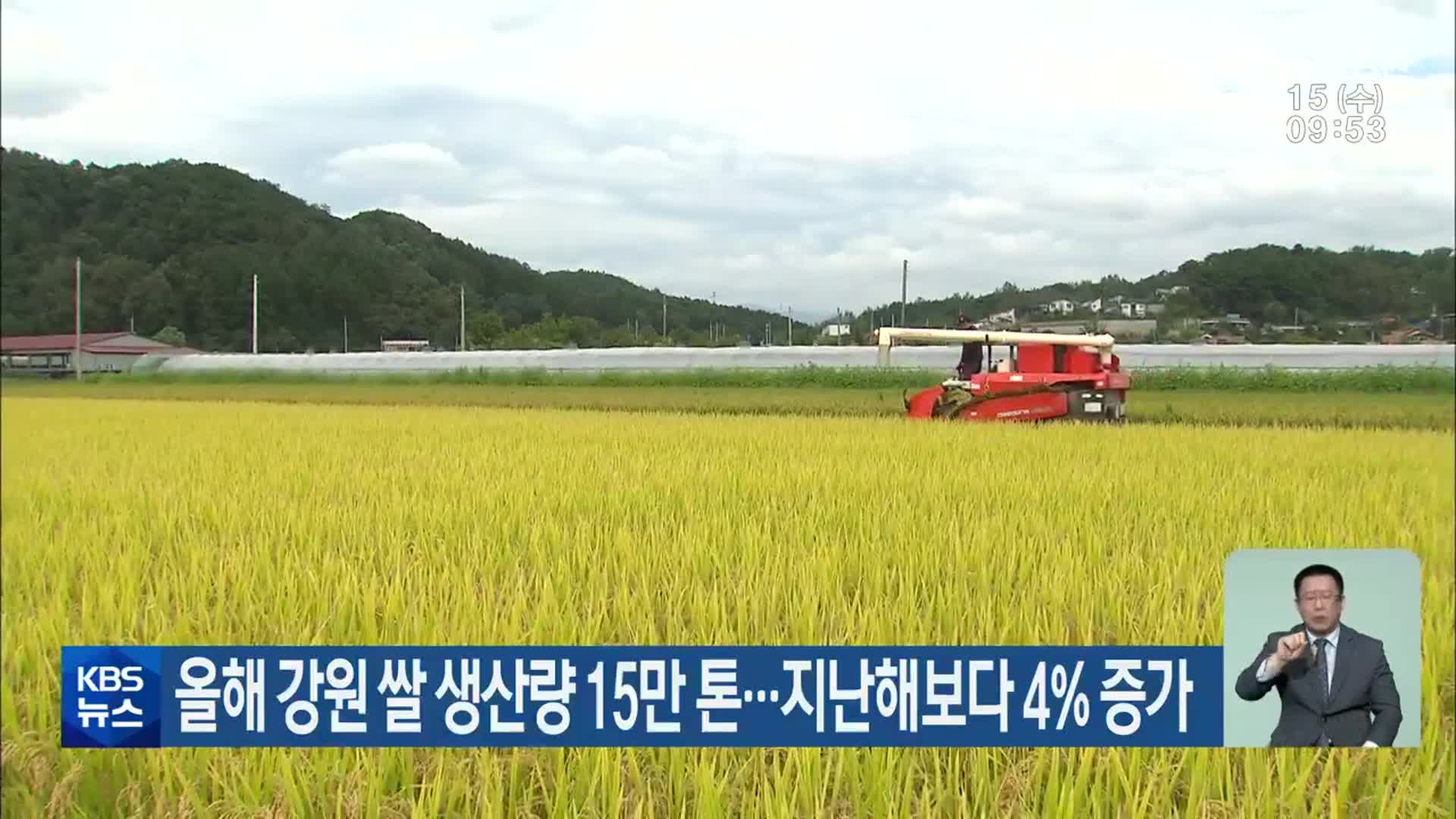 올해 강원 쌀 생산량 15만 톤…지난해보다 4% 증가