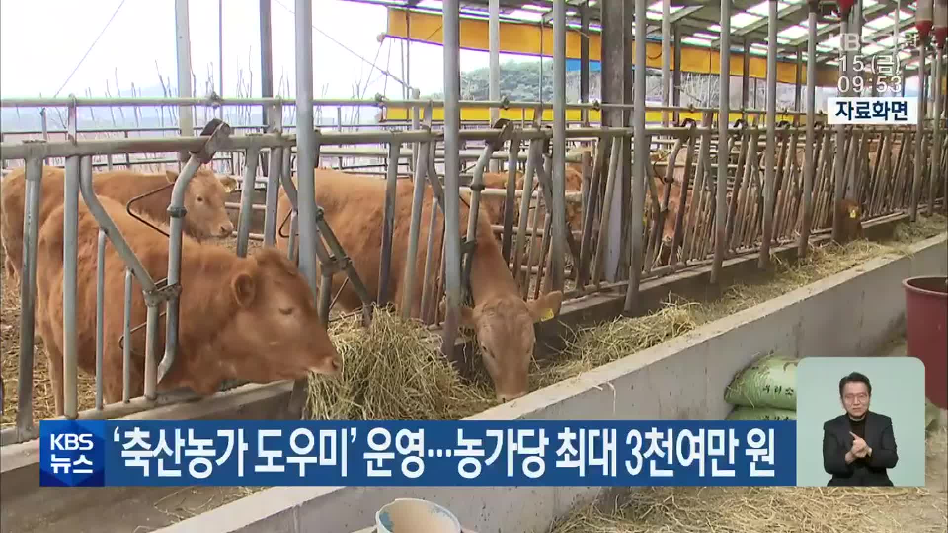 강원도, ‘축산농가 도우미’ 운영…농가당 최대 3천여만 원