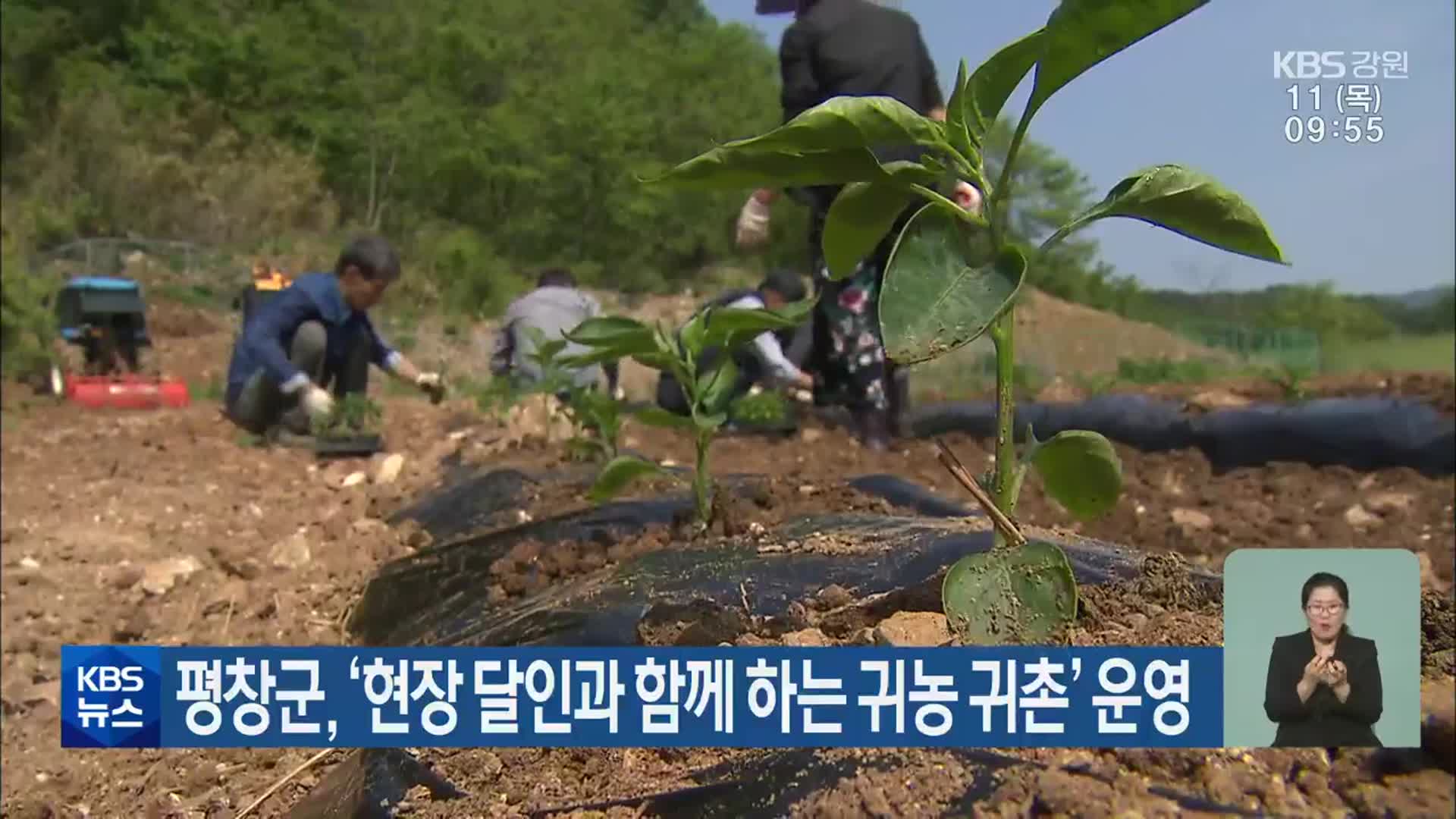 평창군, ‘현장 달인과 함께 하는 귀농 귀촌’ 운영