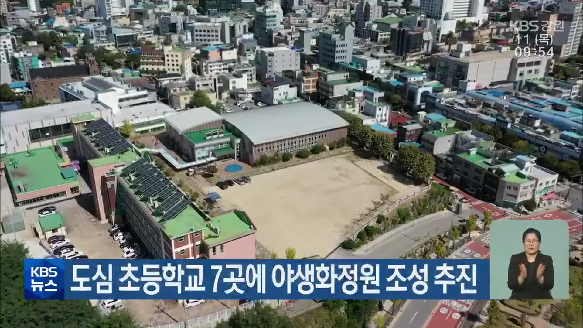 도심 초등학교 7곳에 야생화정원 조성 추진