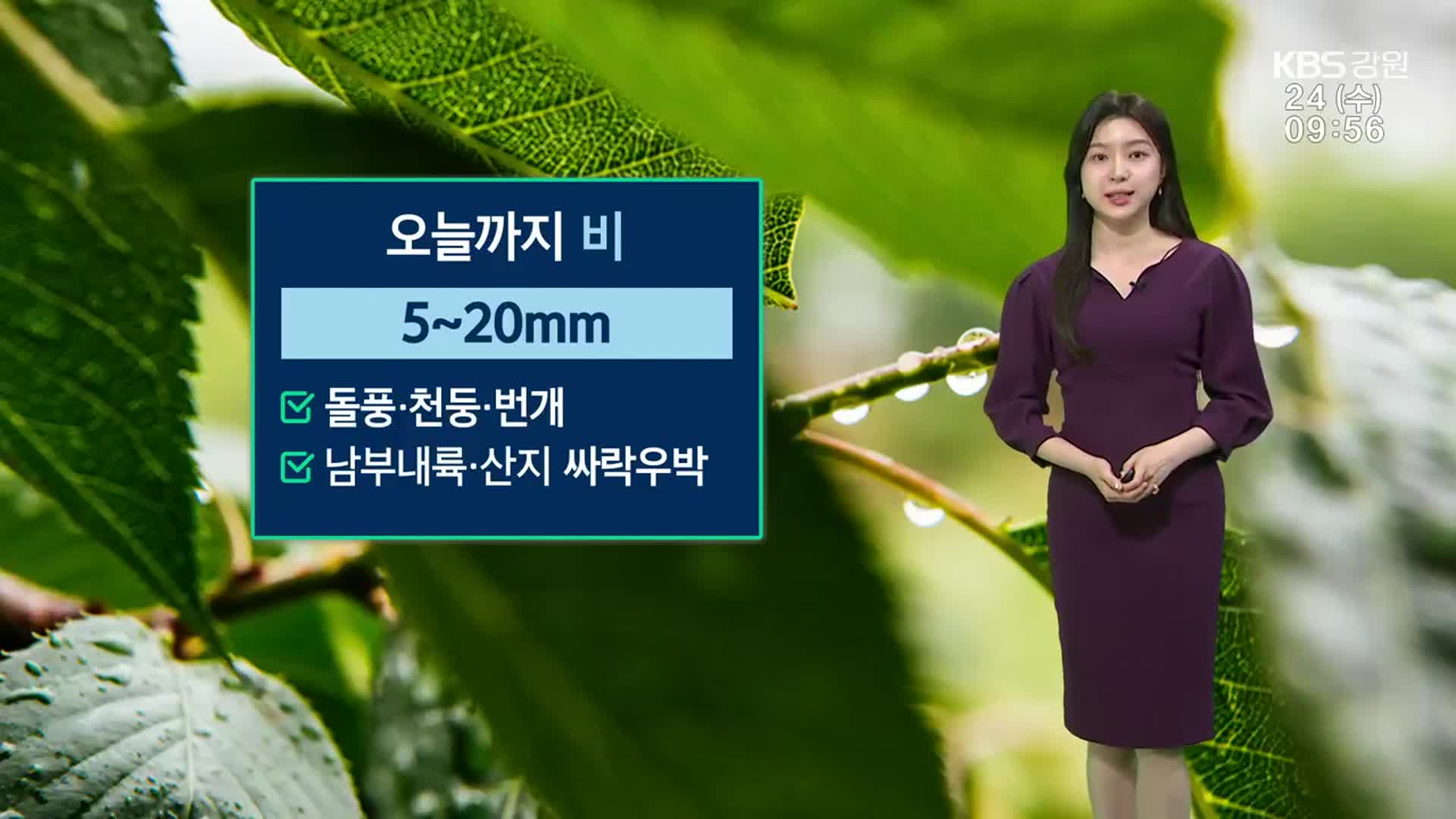 [날씨] 강원 오늘까지 5~20mm 요란한 비…천둥·번개 주의