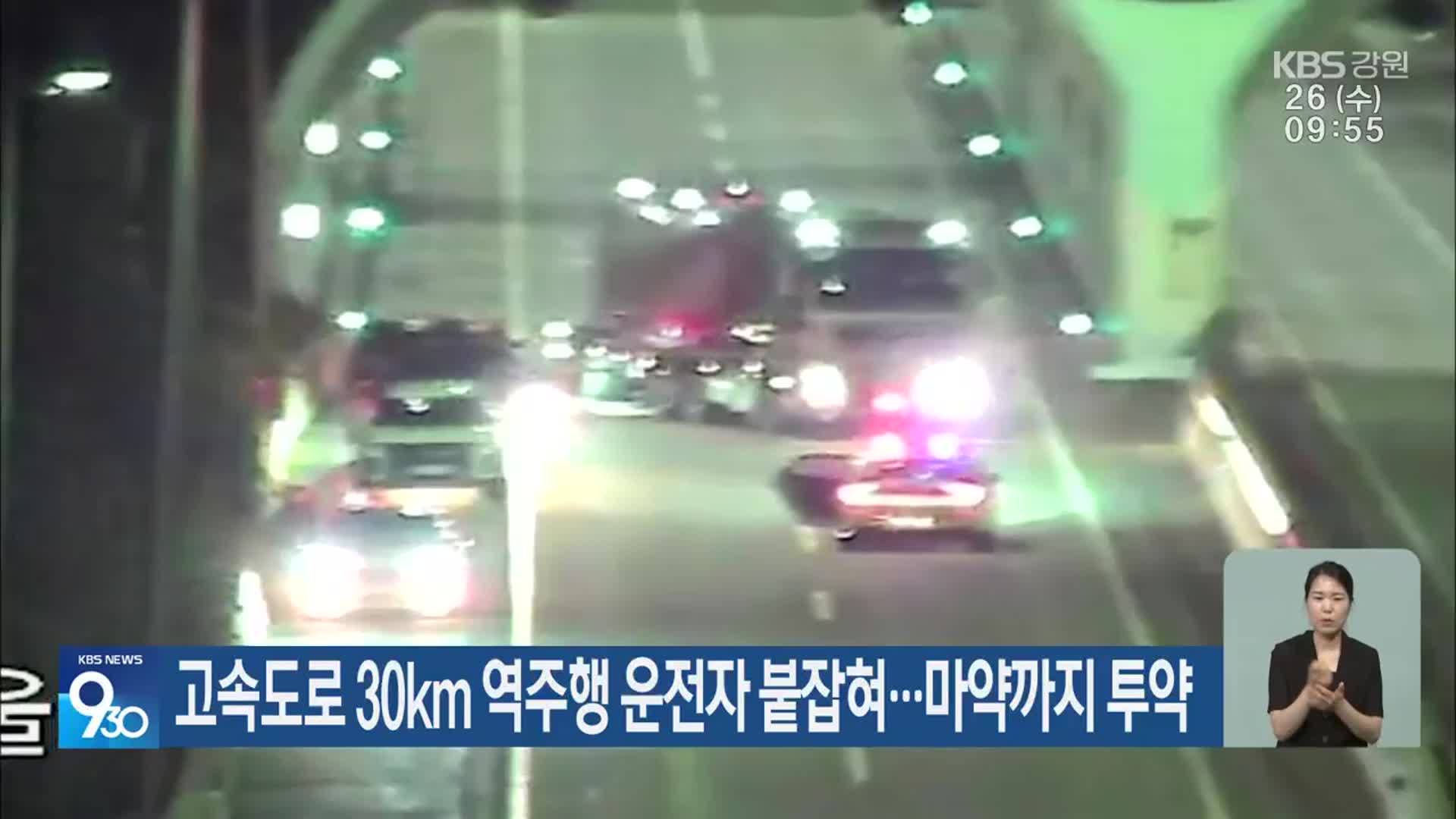 고속도로 30Km 역주행 운전자 붙잡혀…마약까지 투약