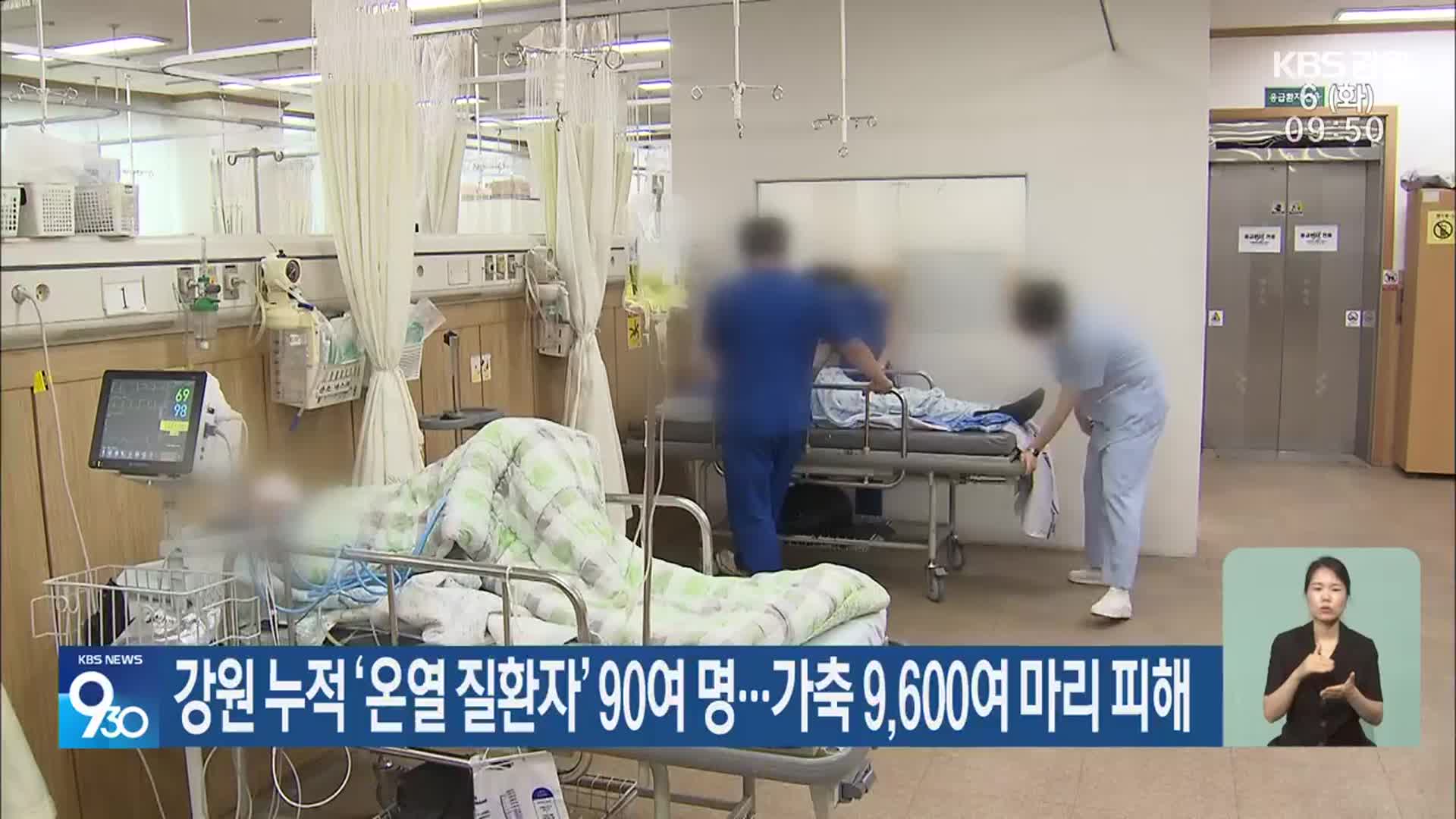 강원 누적 ‘온열 질환자’ 90여 명…가축 9,600여 마리 피해