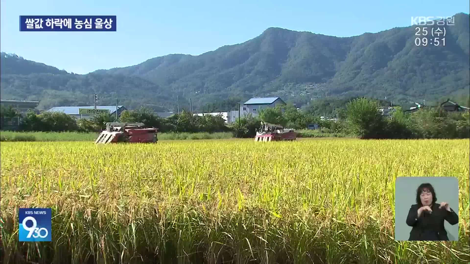 가을걷이 본격 시작…쌀값 하락에 ‘애타는 농심’