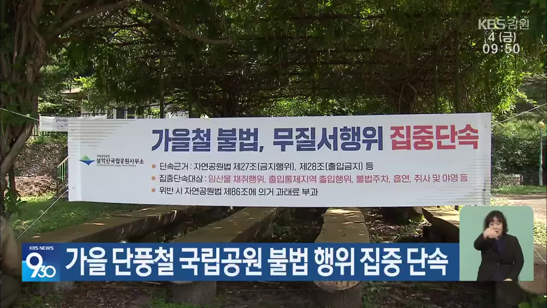 가을 단풍철 국립공원 불법 행위 집중 단속