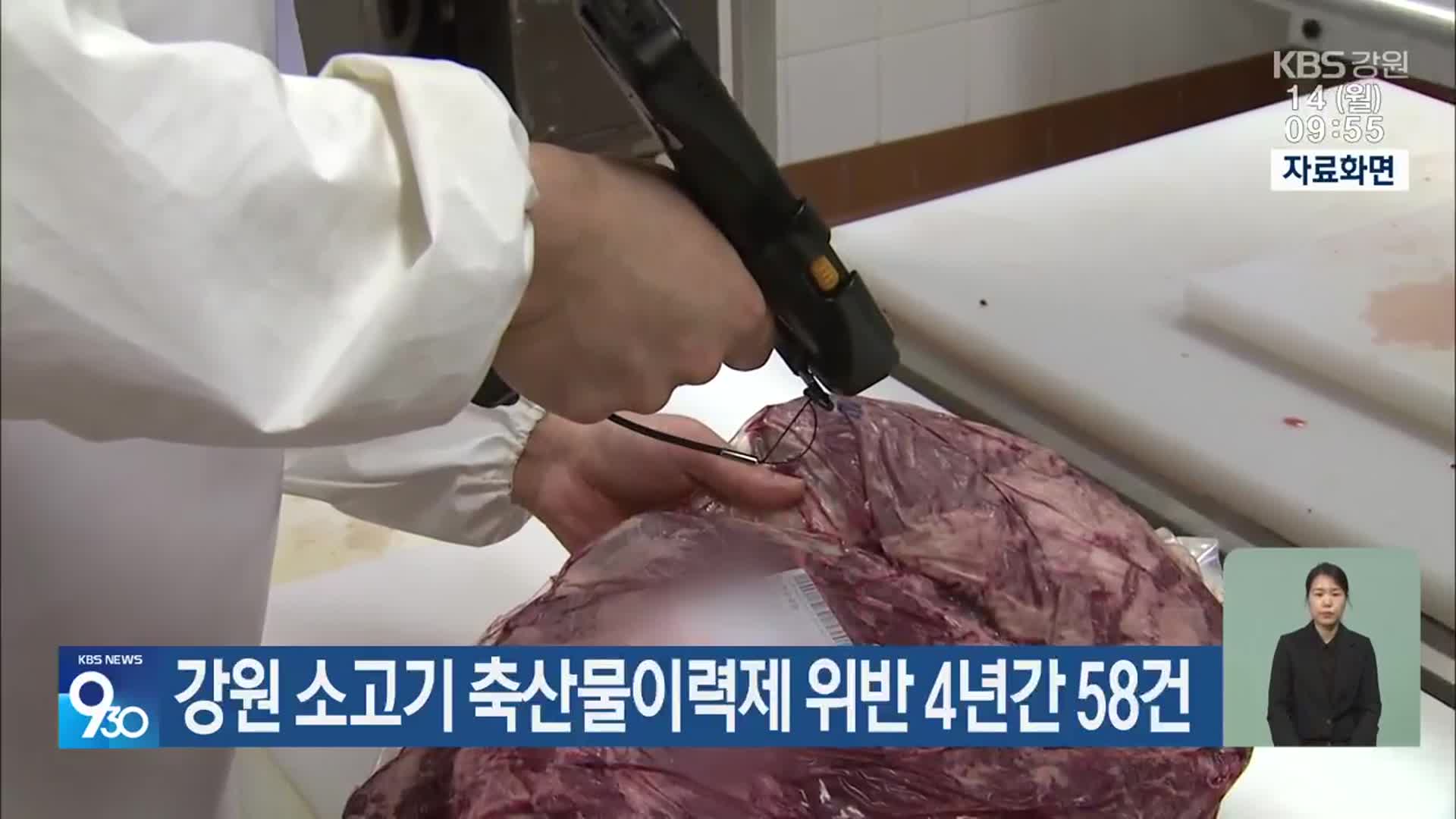 강원 소고기 축산물이력제 위반 4년간 58건