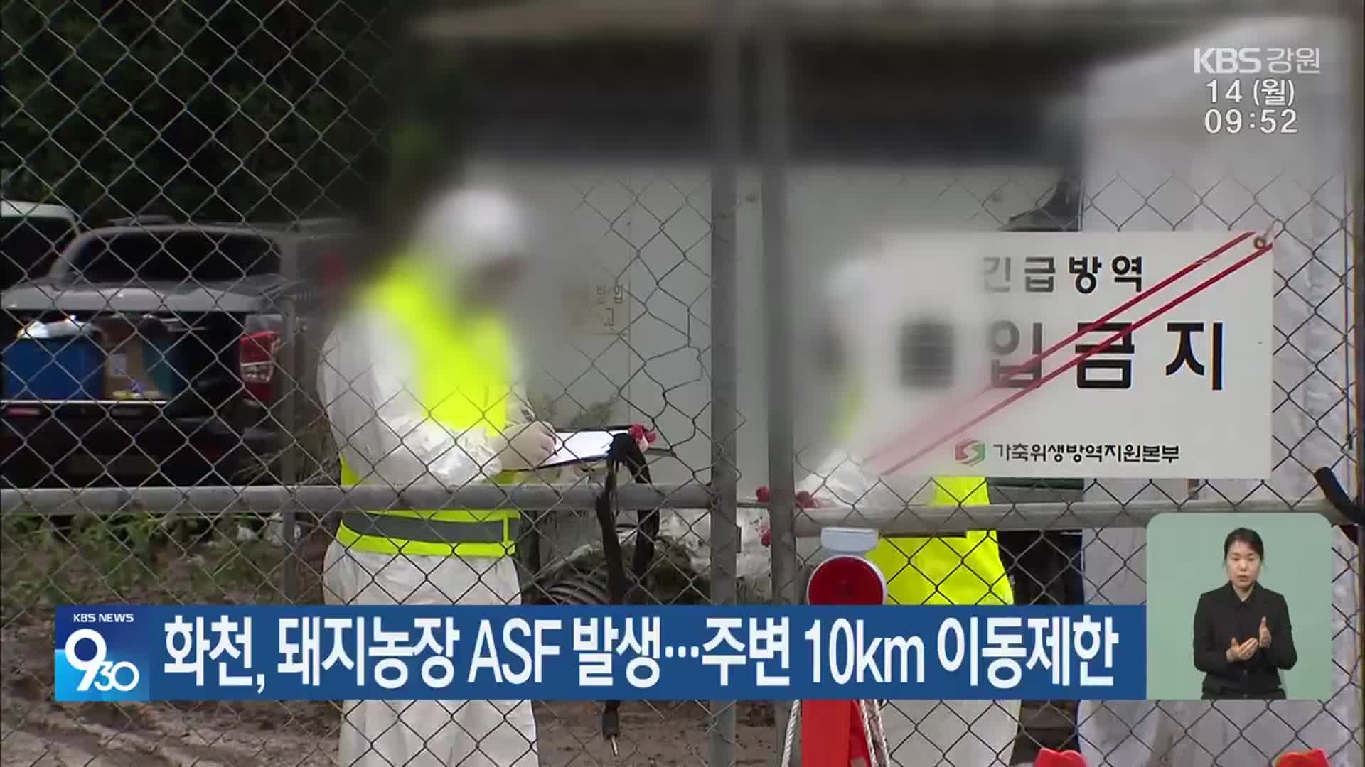 화천, 돼지농장 ASF 발생…주변 10km 이동제한