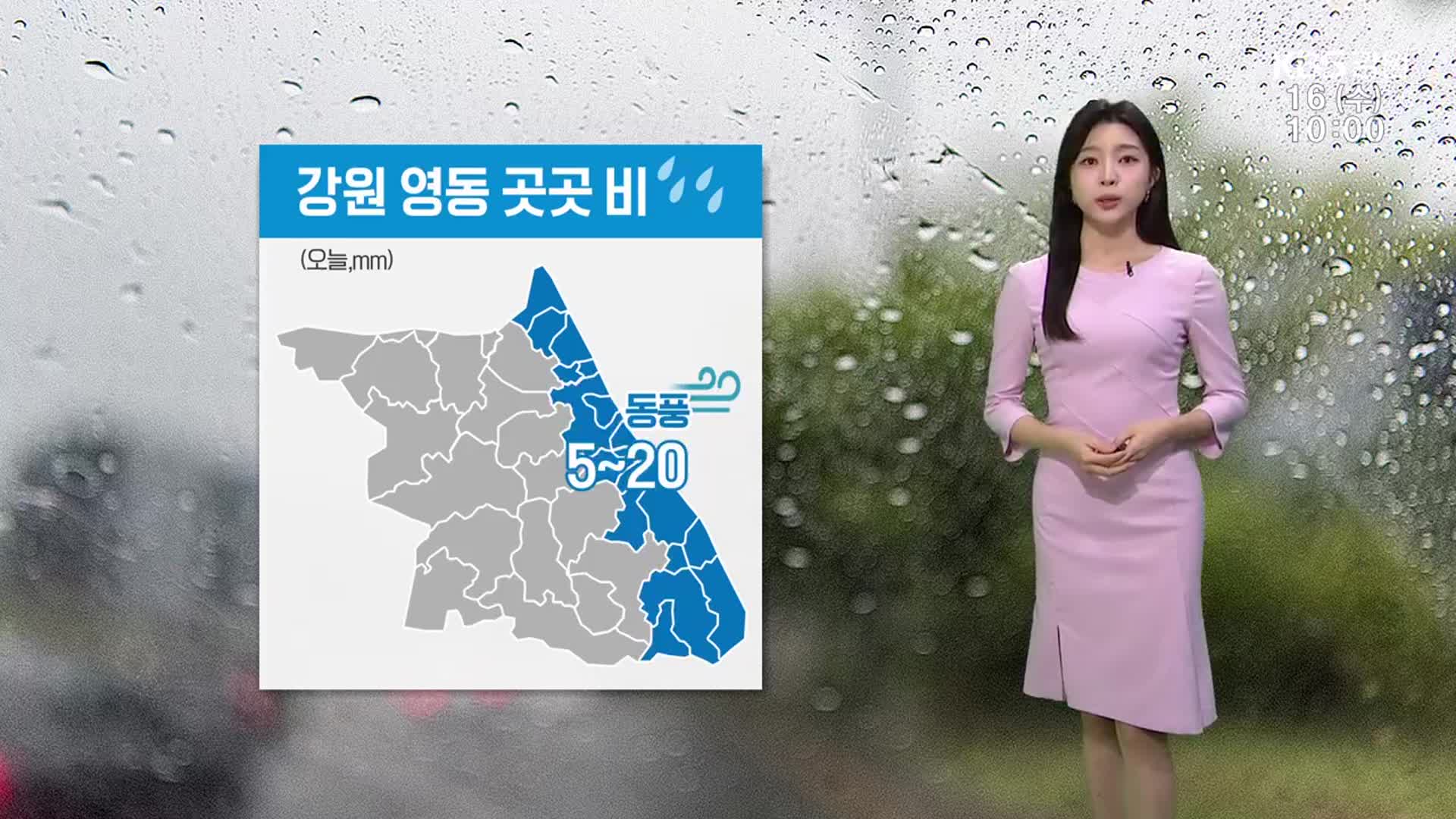 [날씨] 강원 영동 곳곳 5~20mm 비…내륙·산지 짙은 안개