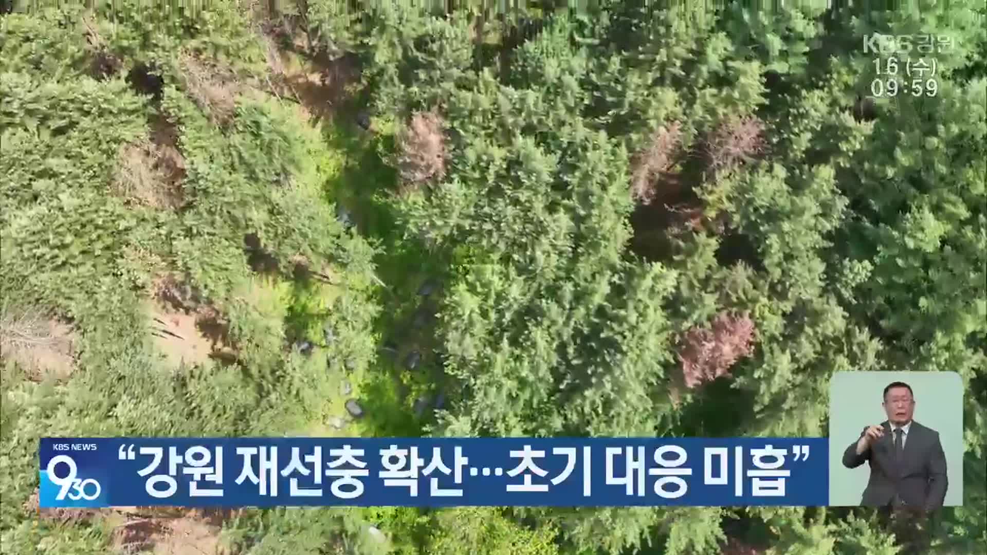 “강원 재선충 확산…초기 대응 미흡”