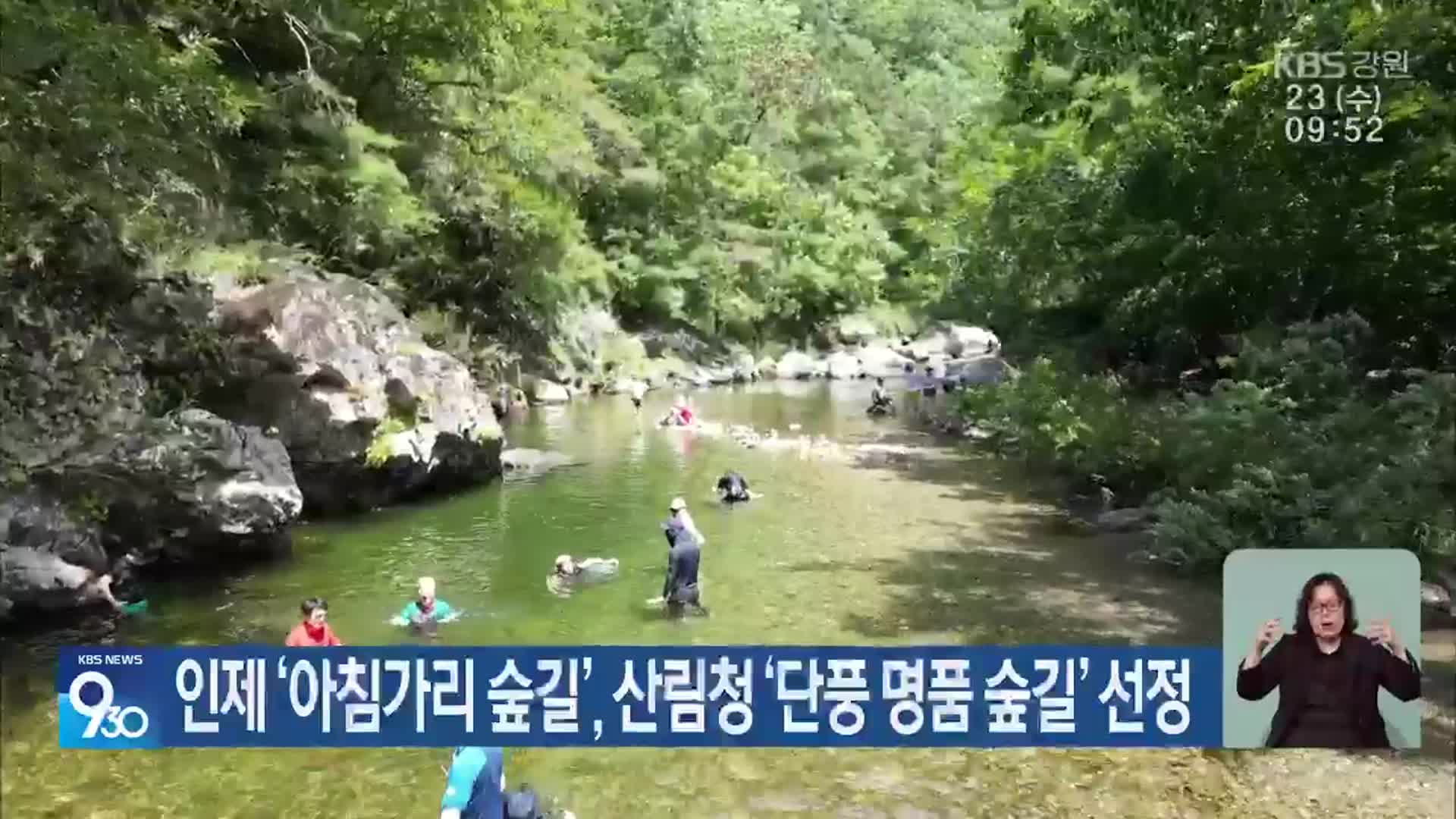 인제 ‘아침가리 숲길’, 산림청 ‘단풍 명품 숲길’ 선정