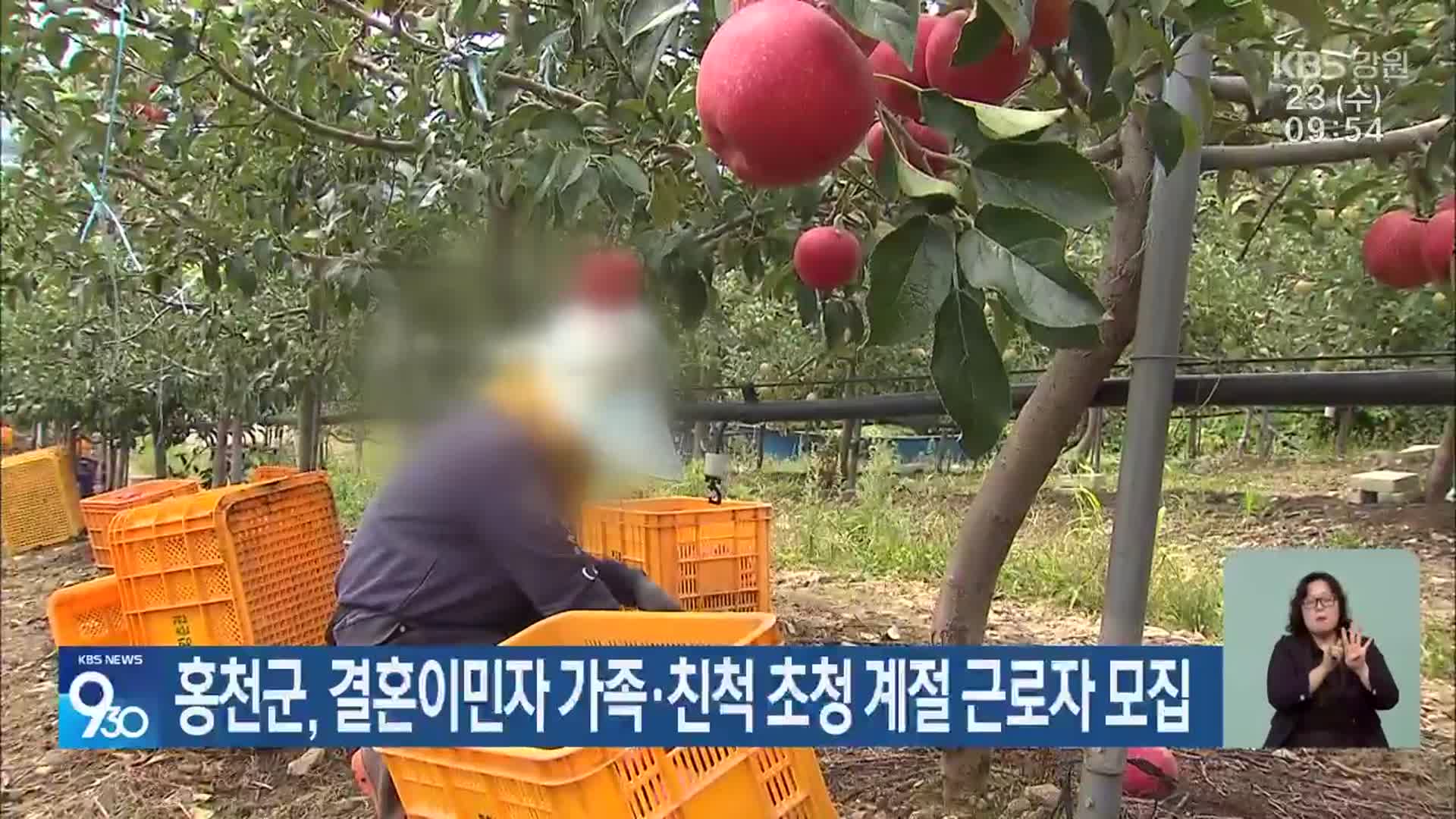 홍천군, 결혼이민자 가족·친척 초청 계절 근로자 모집