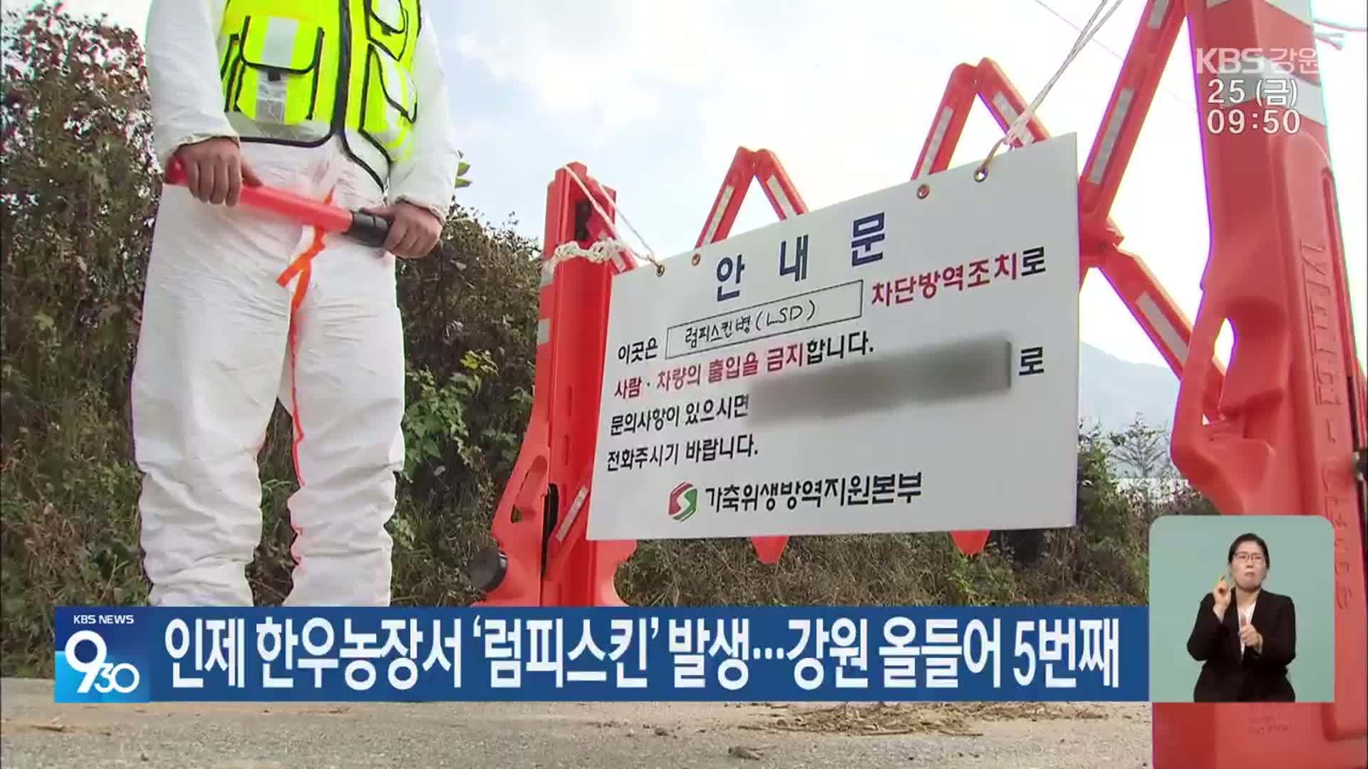 인제 한우농장서 ‘럼피스킨’ 발생…강원 올들어 5번째