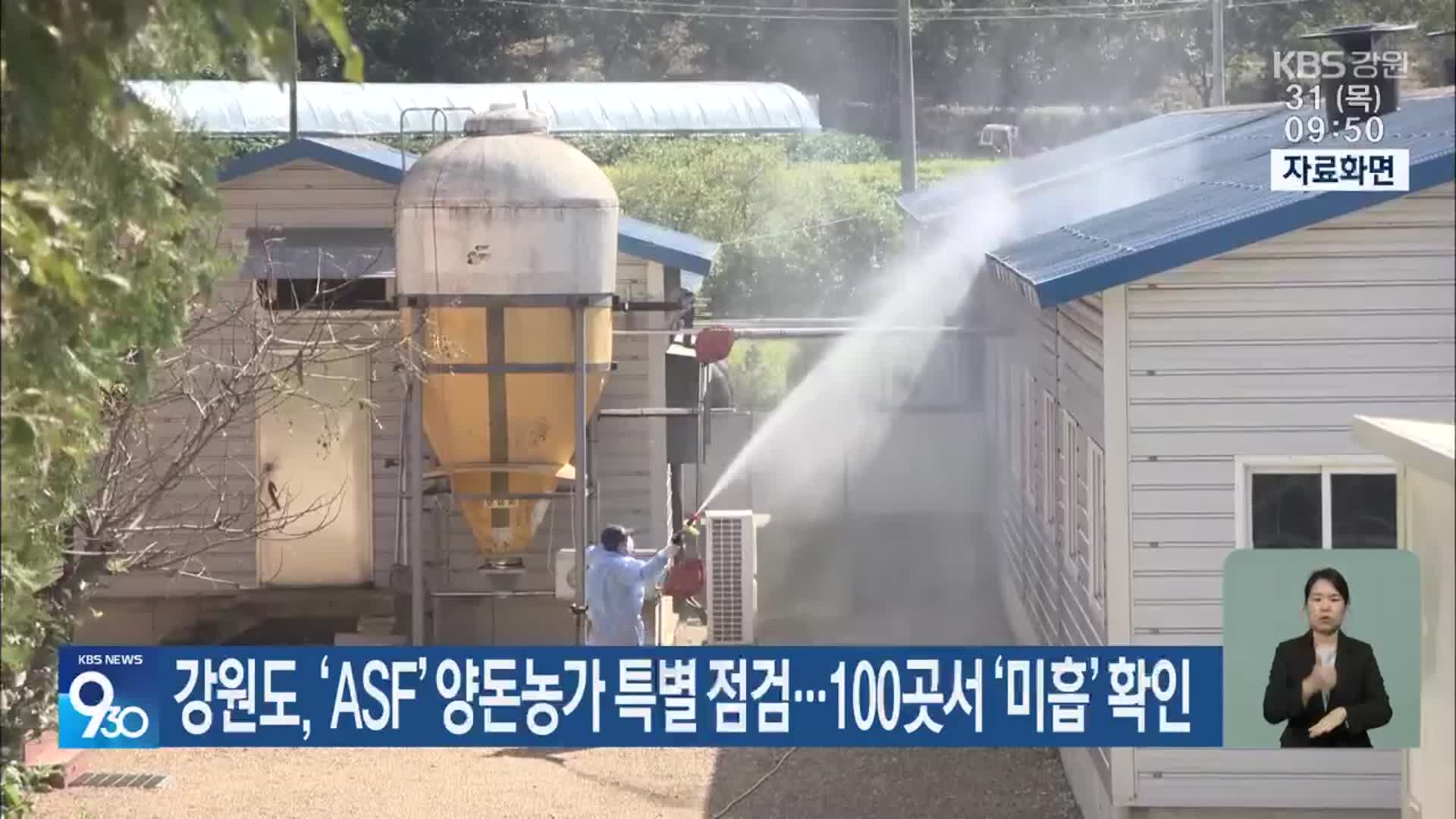 강원도, ‘ASF’ 양돈농가 특별 점검…100곳서 ‘미흡’ 확인