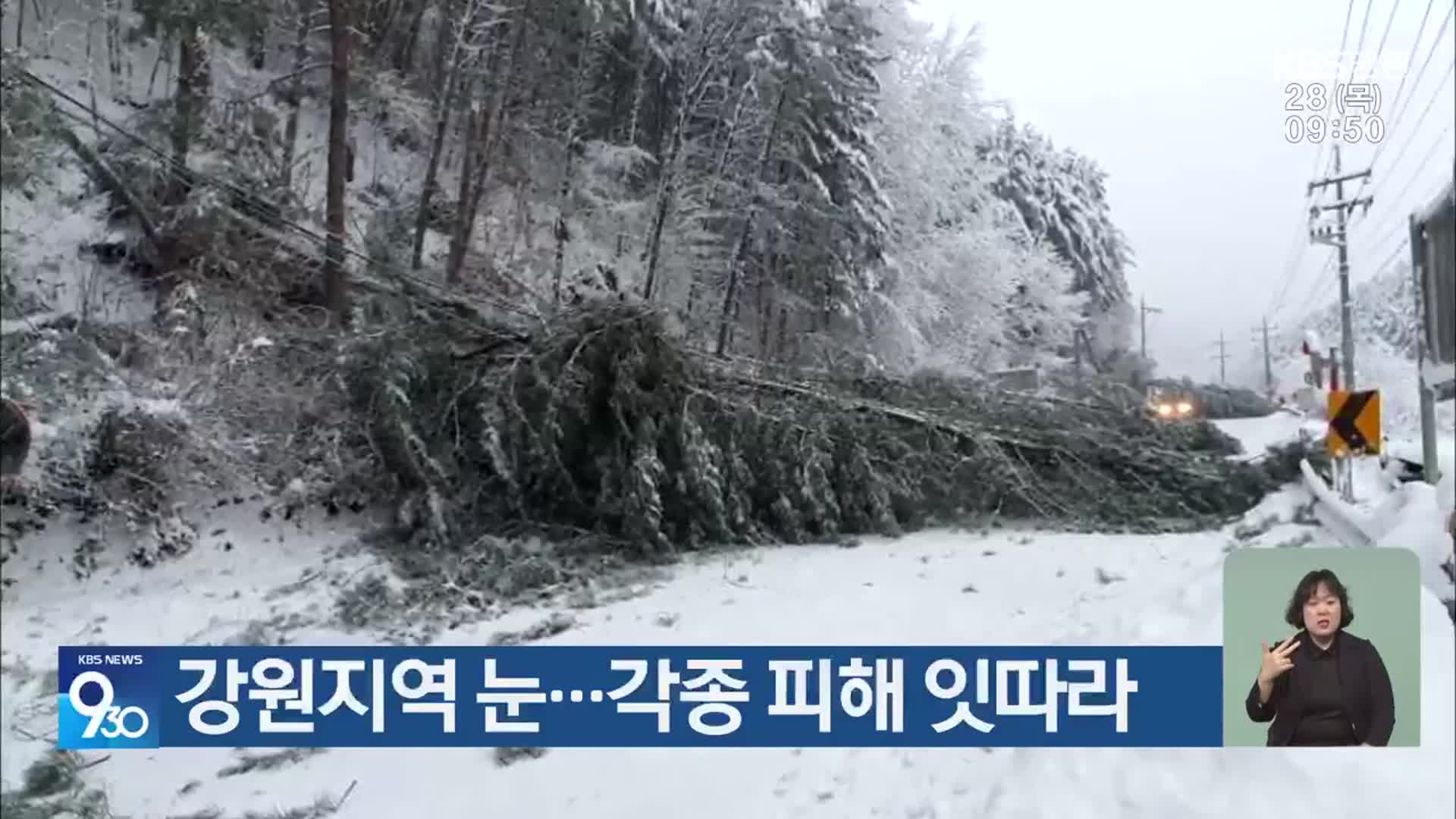 강원지역 눈…각종 피해 잇따라