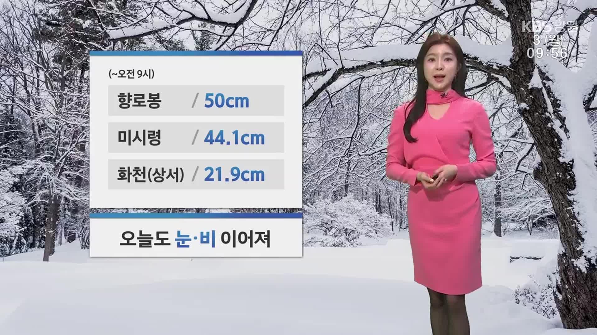 [날씨] 강원 오늘도 눈·비 이어져…짙은 안개 주의