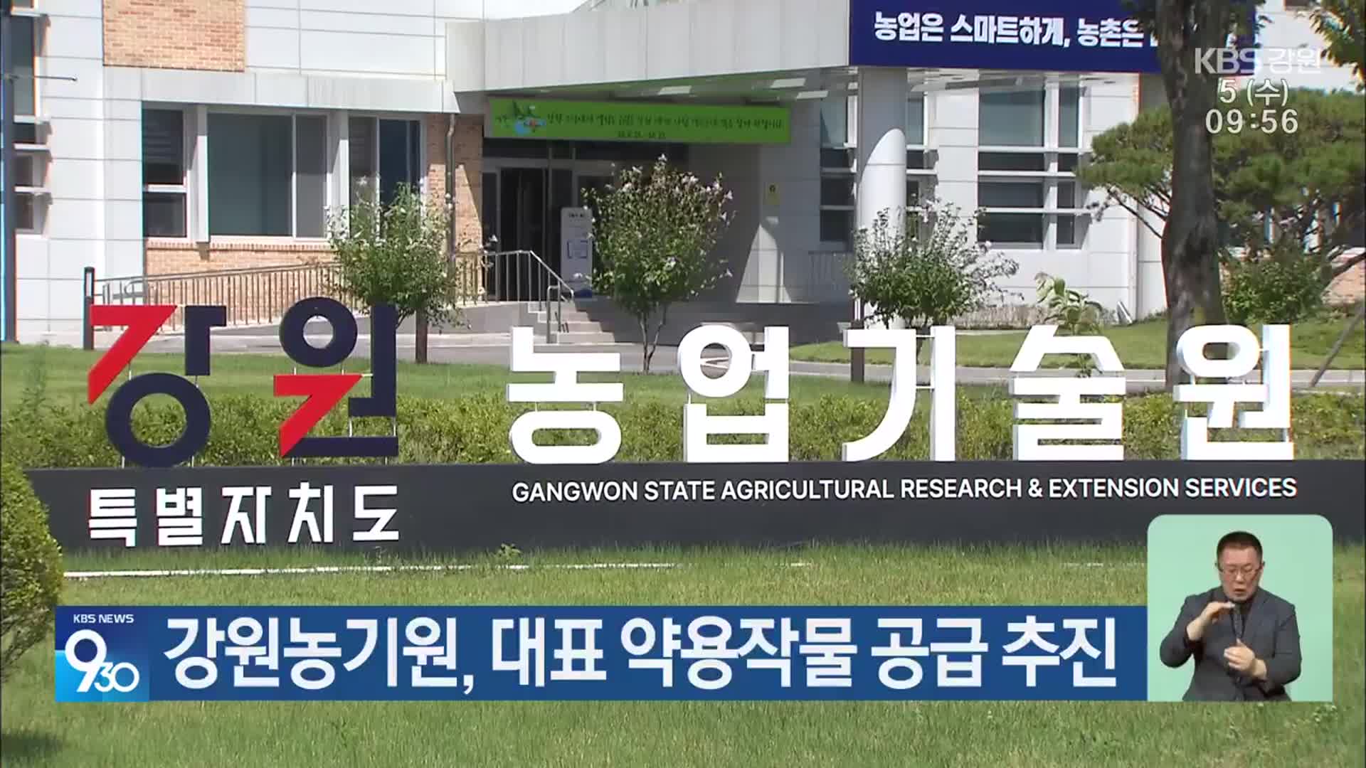 강원농기원, 대표 약용작물 공급 추진