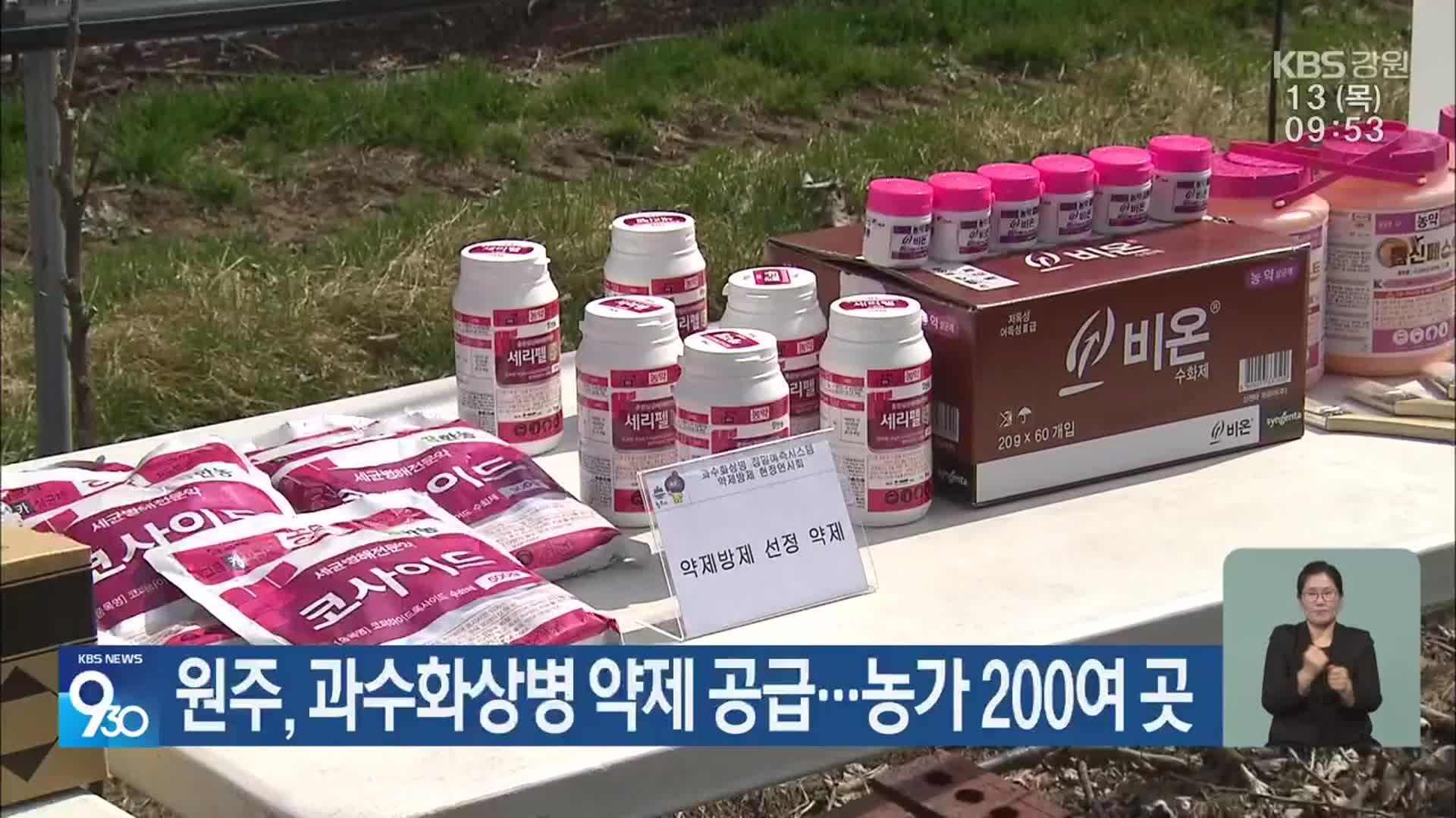 원주, 과수화상병 약제 공급…농가 200여 곳