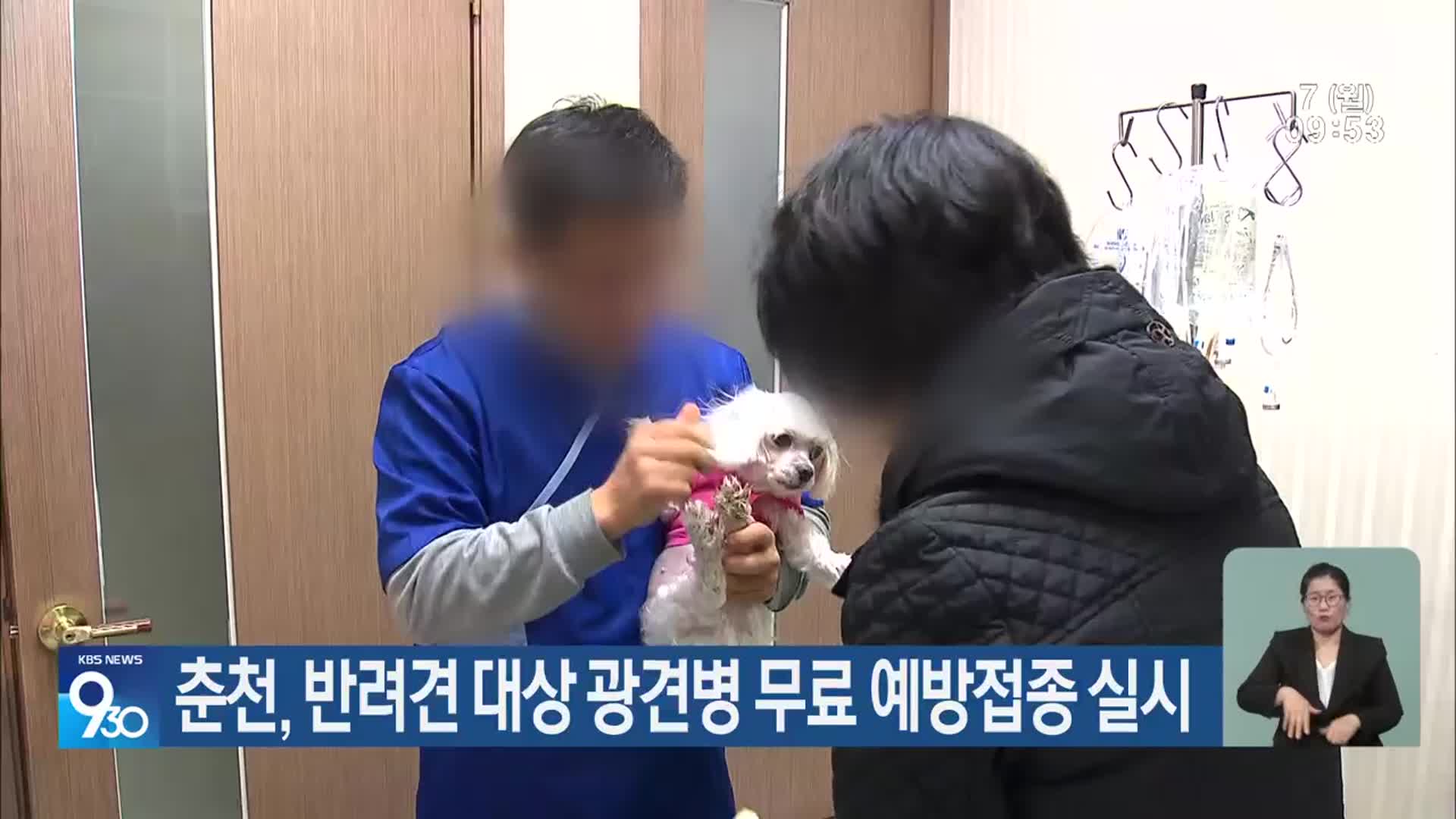 춘천, 반려견 대상 광견병 무료 예방접종 실시