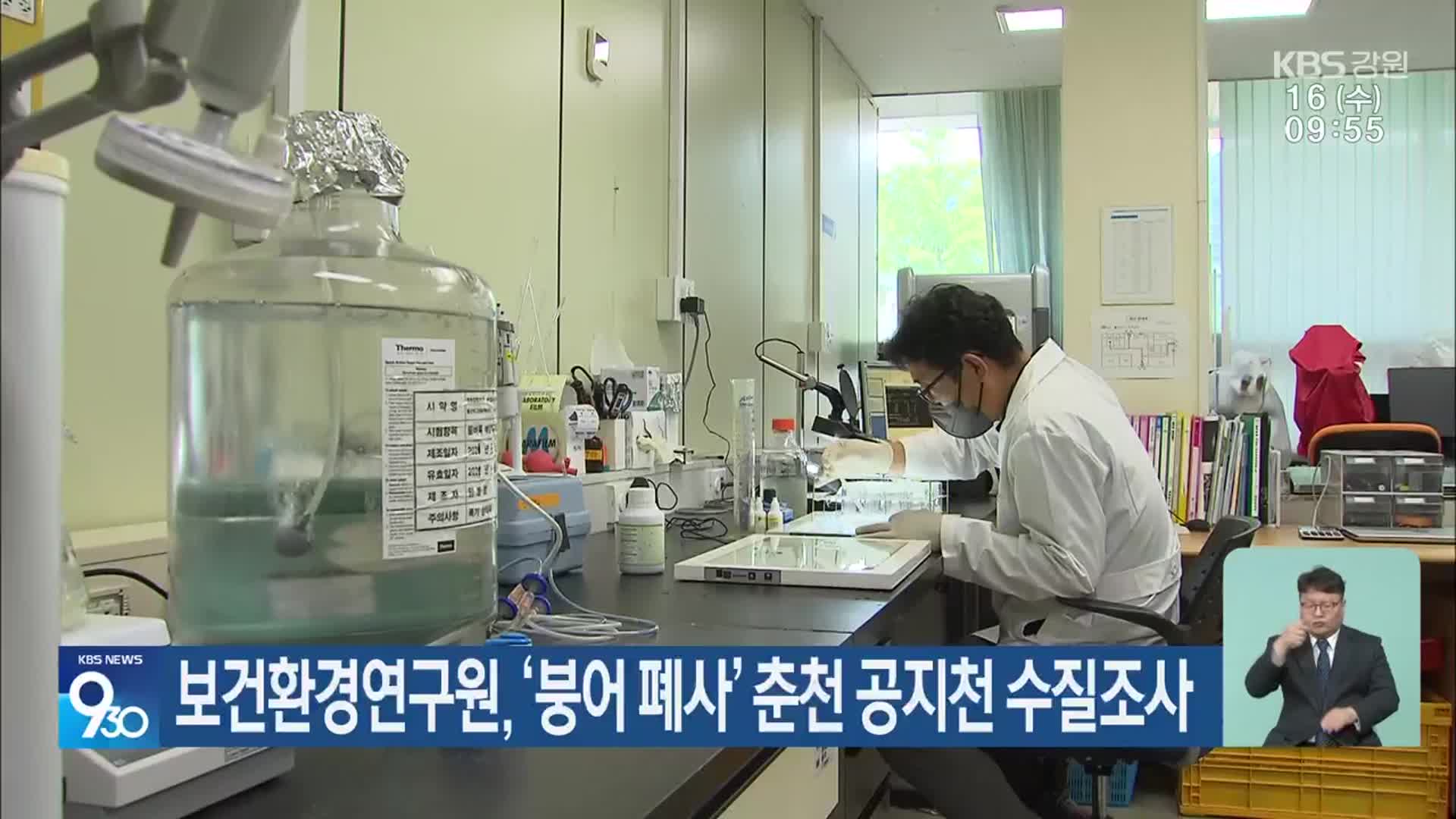 보건환경연구원, ‘붕어 폐사’ 춘천 공지천 수질조사