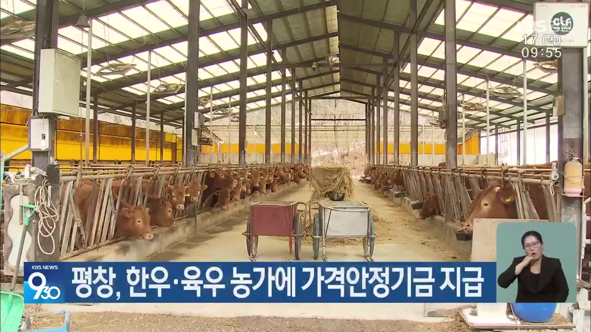 평창, 한우·육우 농가에 가격안정기금 지급