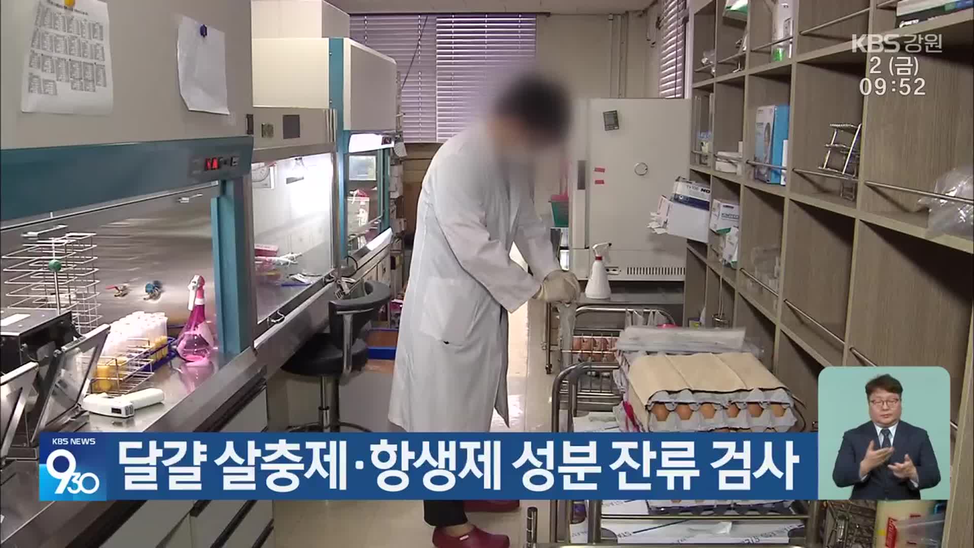 달걀 살충제·항생제 성분 잔류 검사