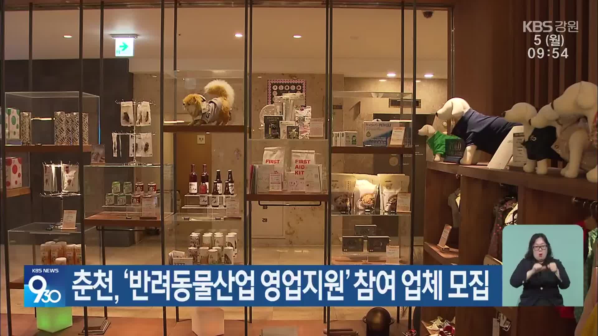 춘천, ‘반려동물산업 영업지원’ 참여 업체 모집