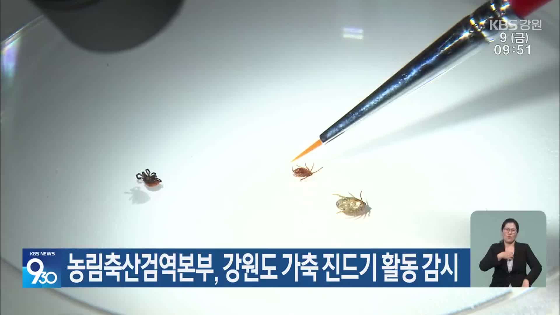 농림축산검역본부, 강원도 가축 진드기 활동 감시