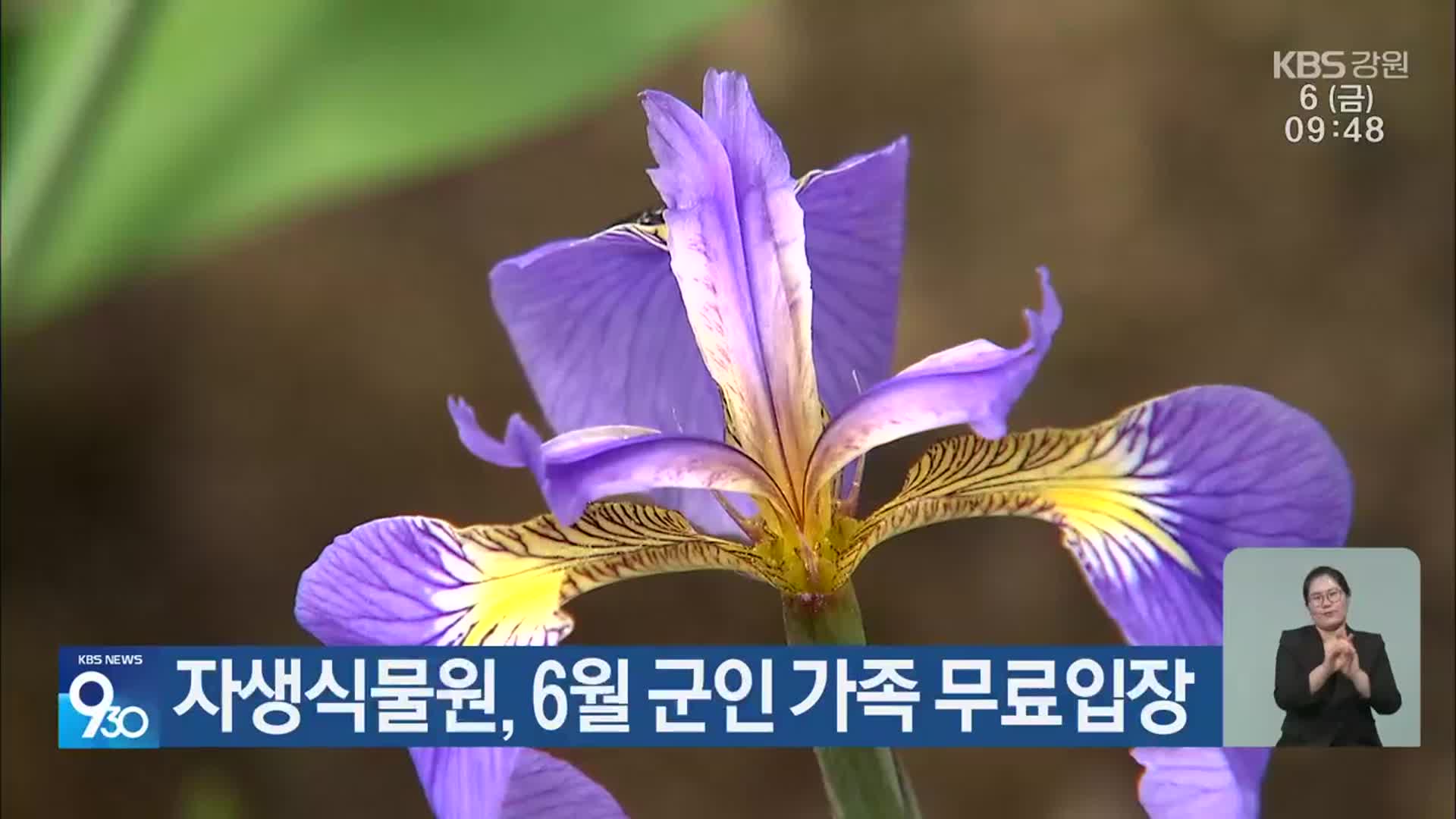 자생식물원, 6월 군인 가족 무료 입장