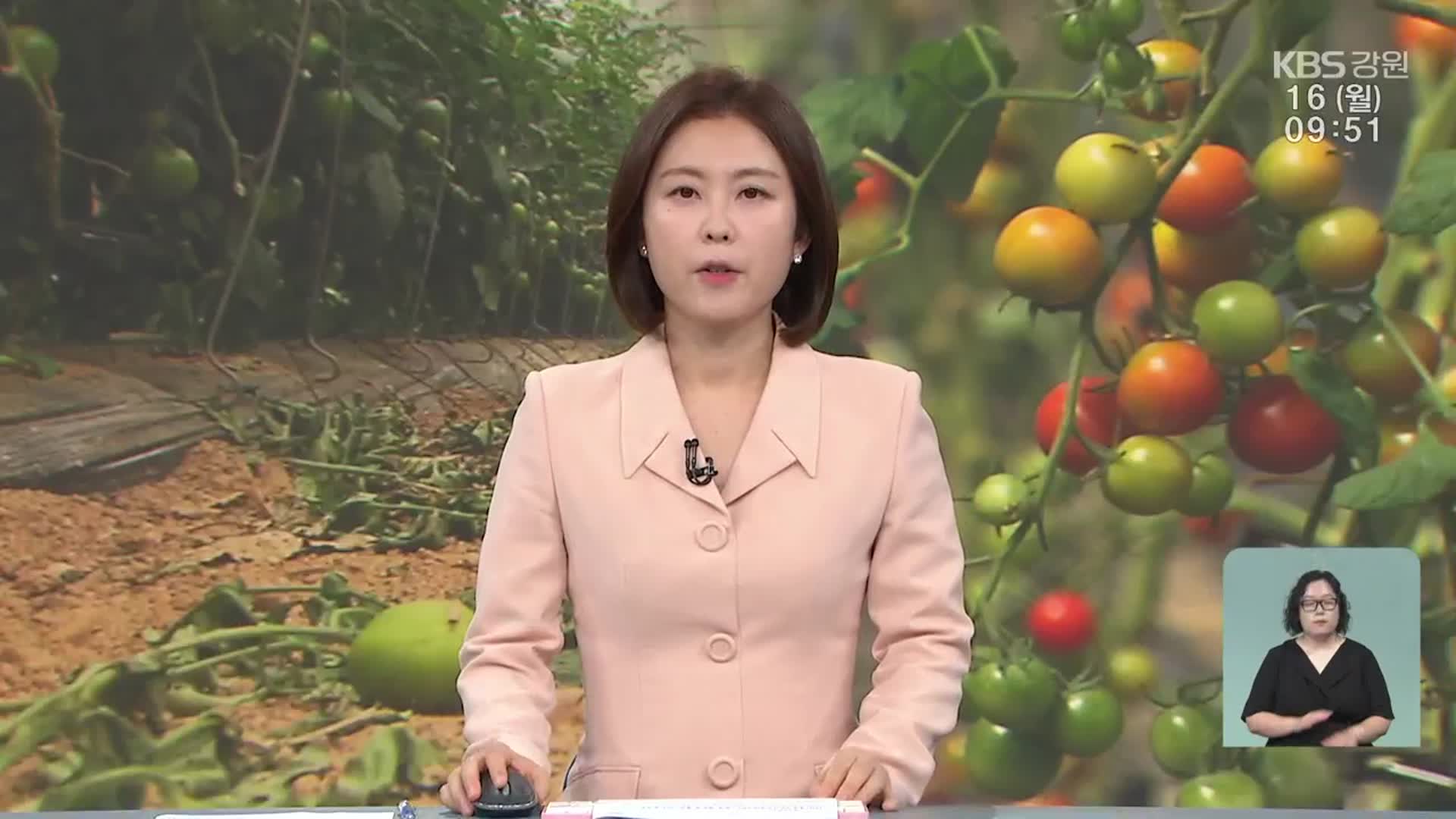 [930뉴스 강원 오프닝]