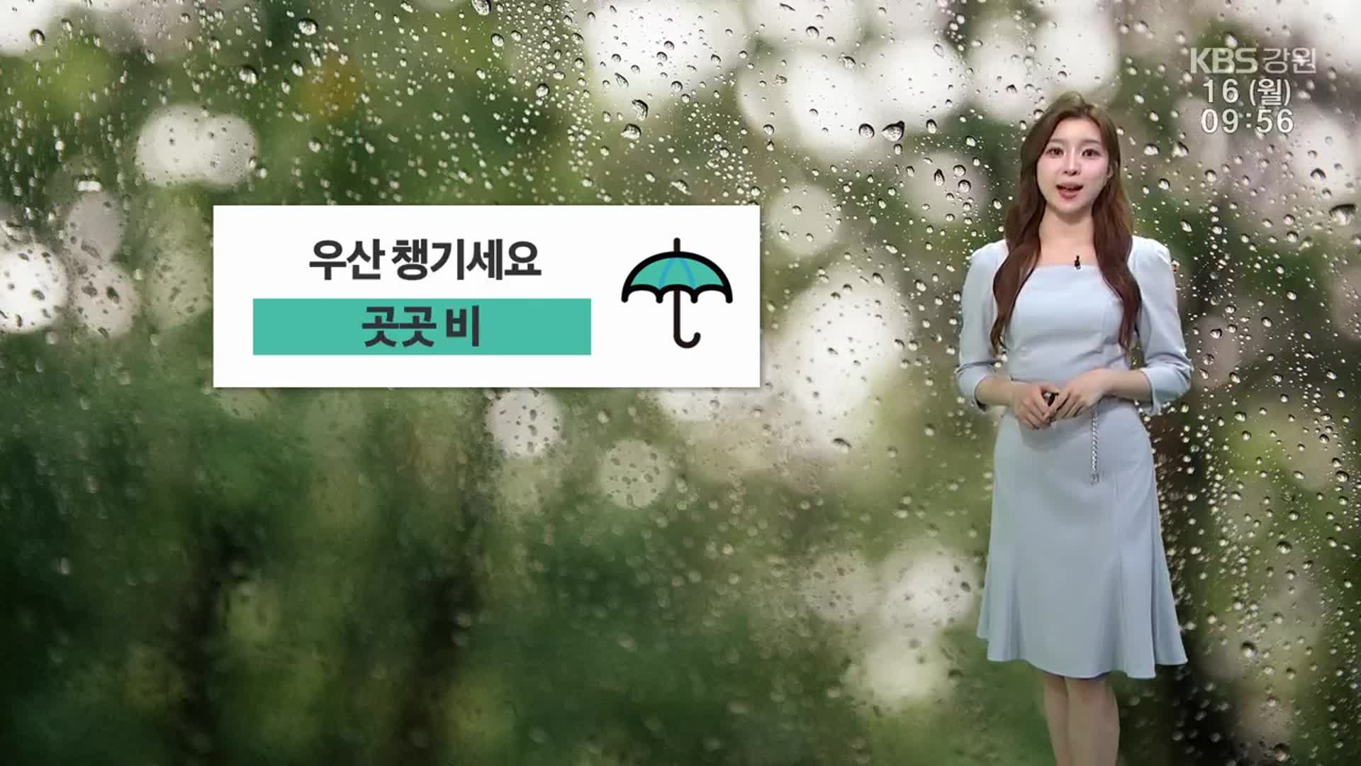 [날씨] 강원 곳곳 비…돌풍·벼락 유의