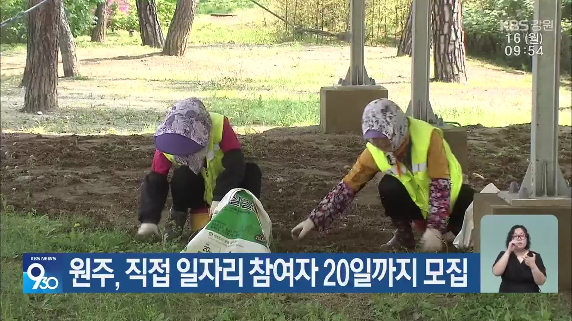 원주, 직접 일자리 참여자 20일까지 모집