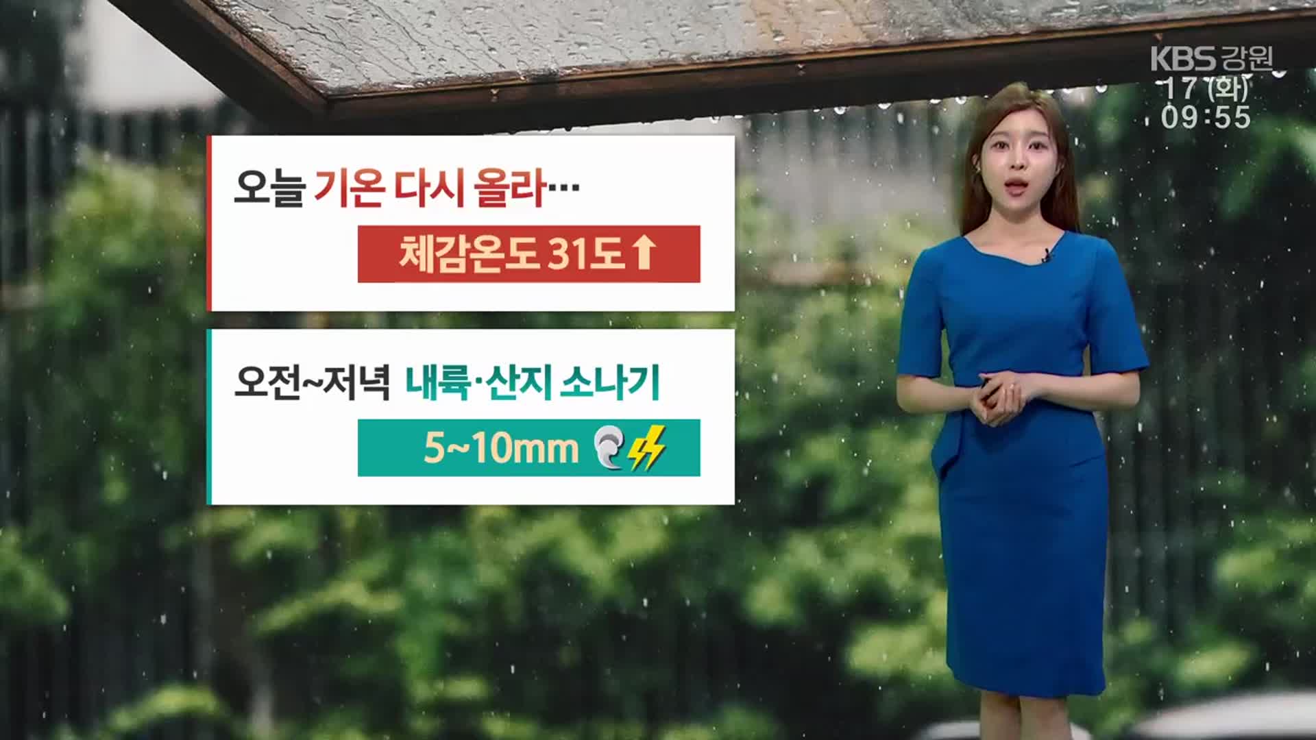 [날씨] 강원 오늘 기온 다시 올라…내륙·산지 소나기