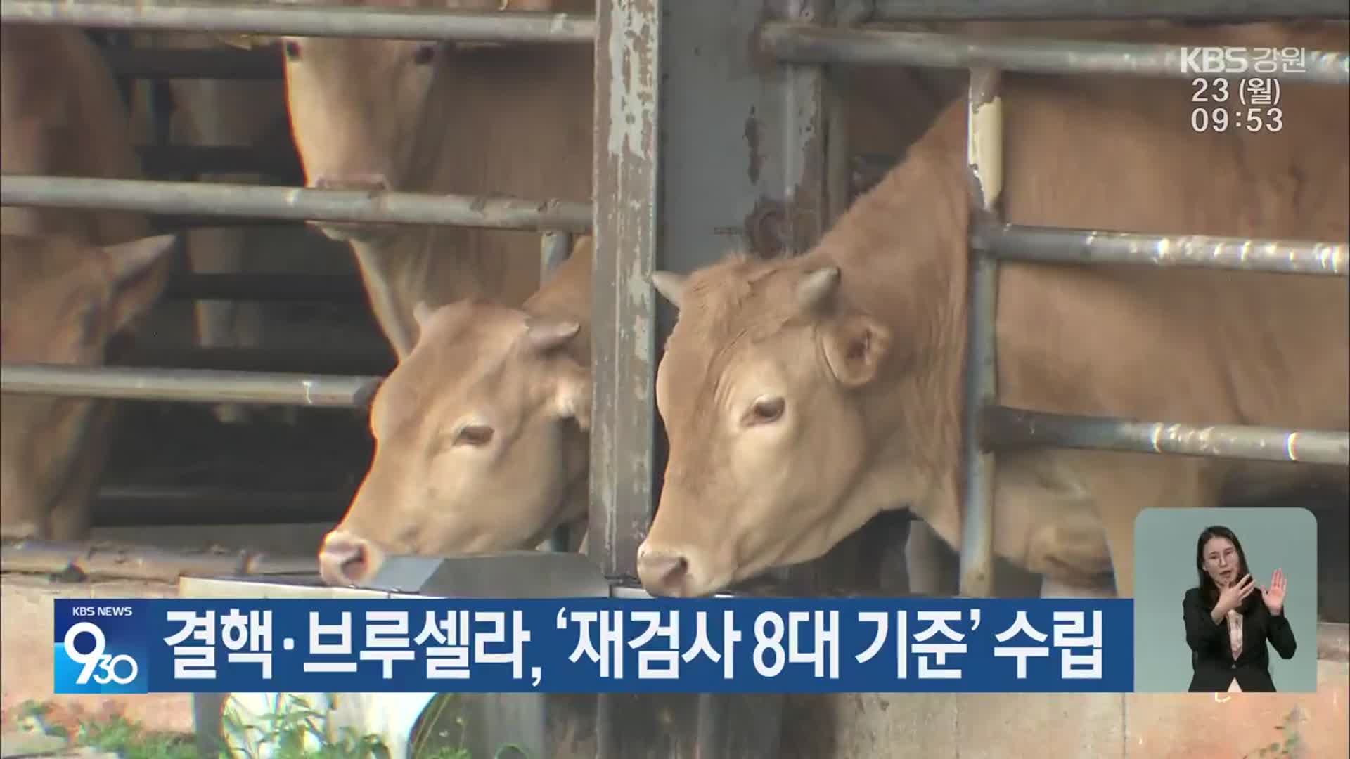 결핵·브루셀라, ‘재검사 8대 기준’ 수립